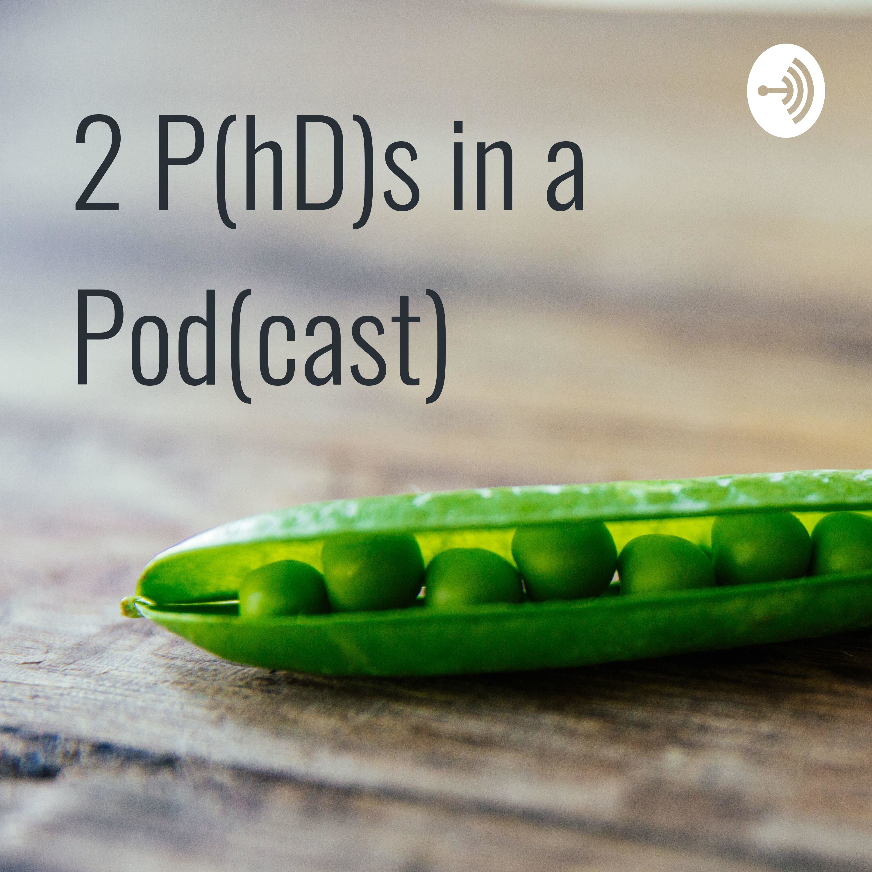 2 PhDs in a Podcast
