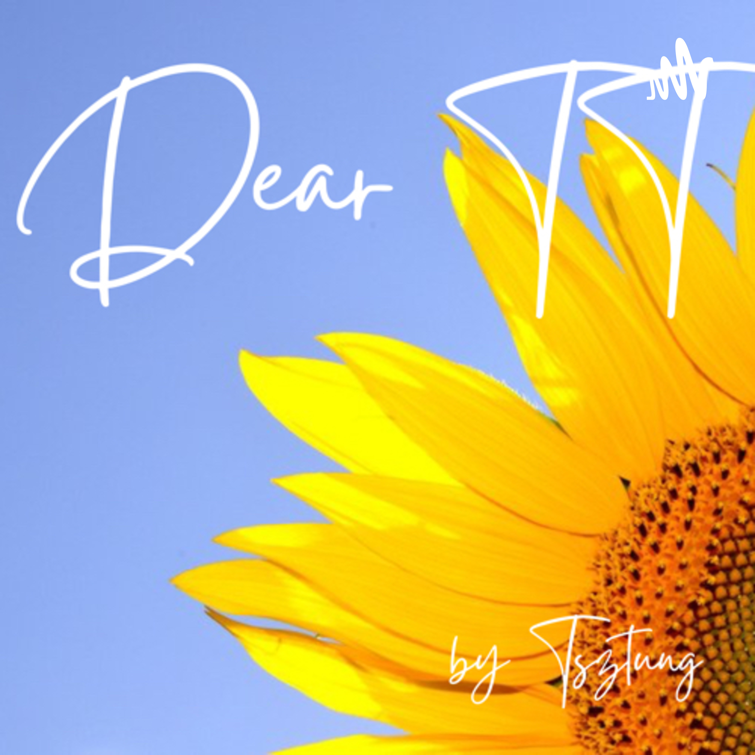 Podcast Dear TT