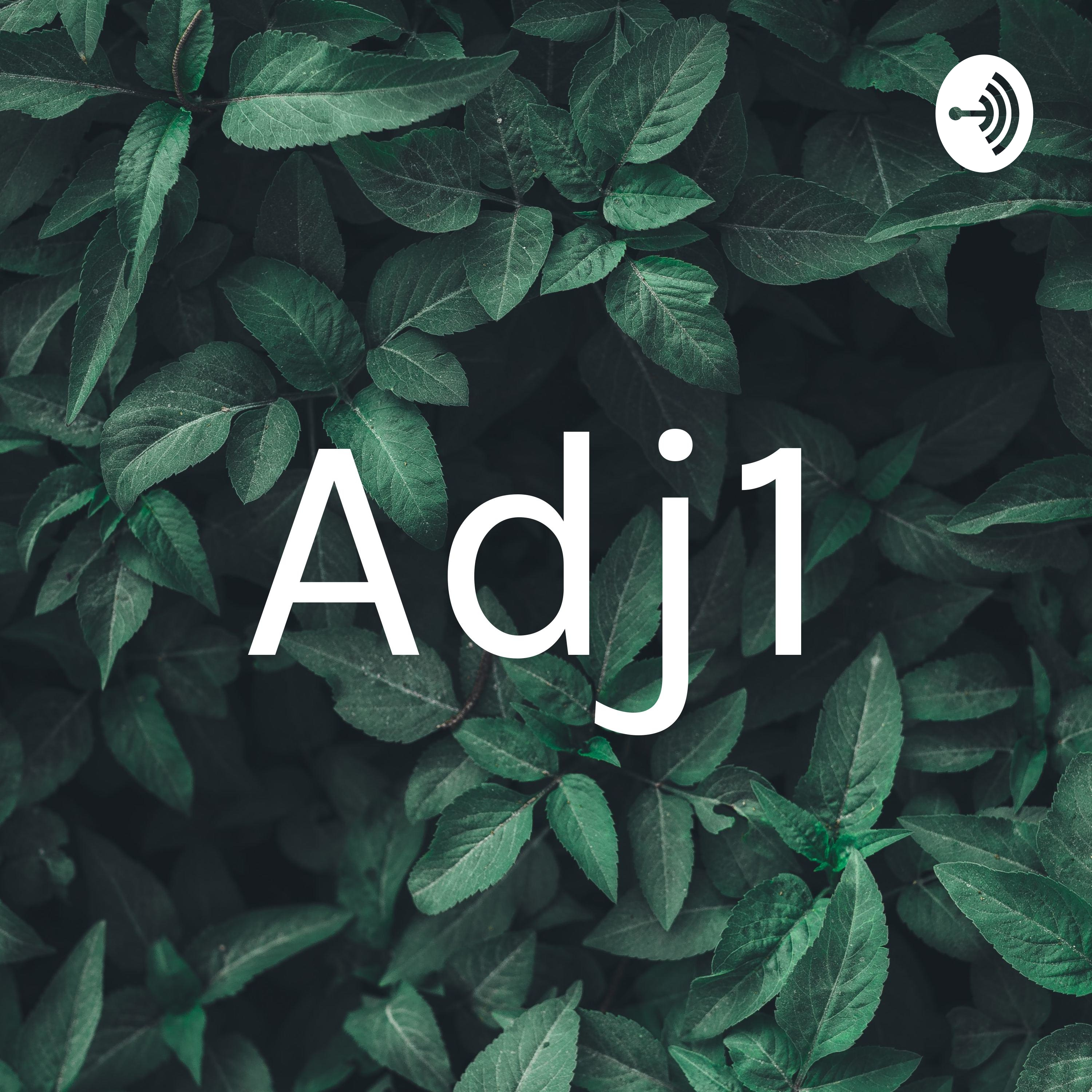 Adj1