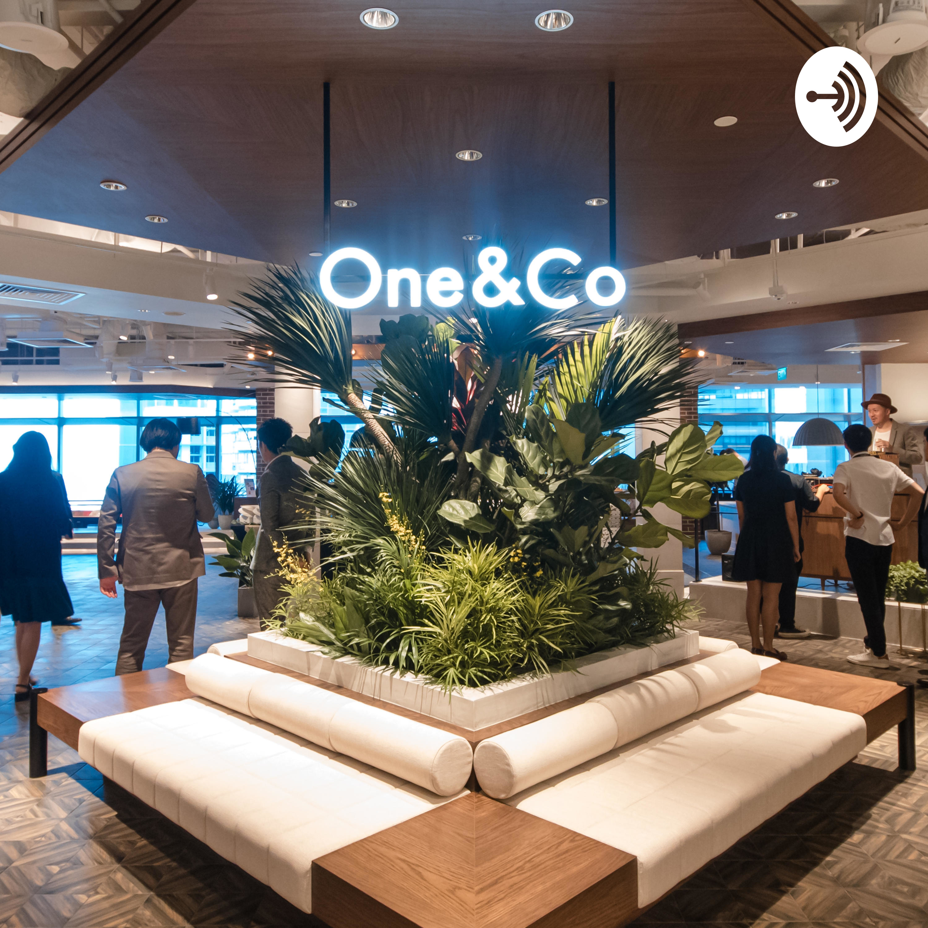 OneVoice podcast artwork