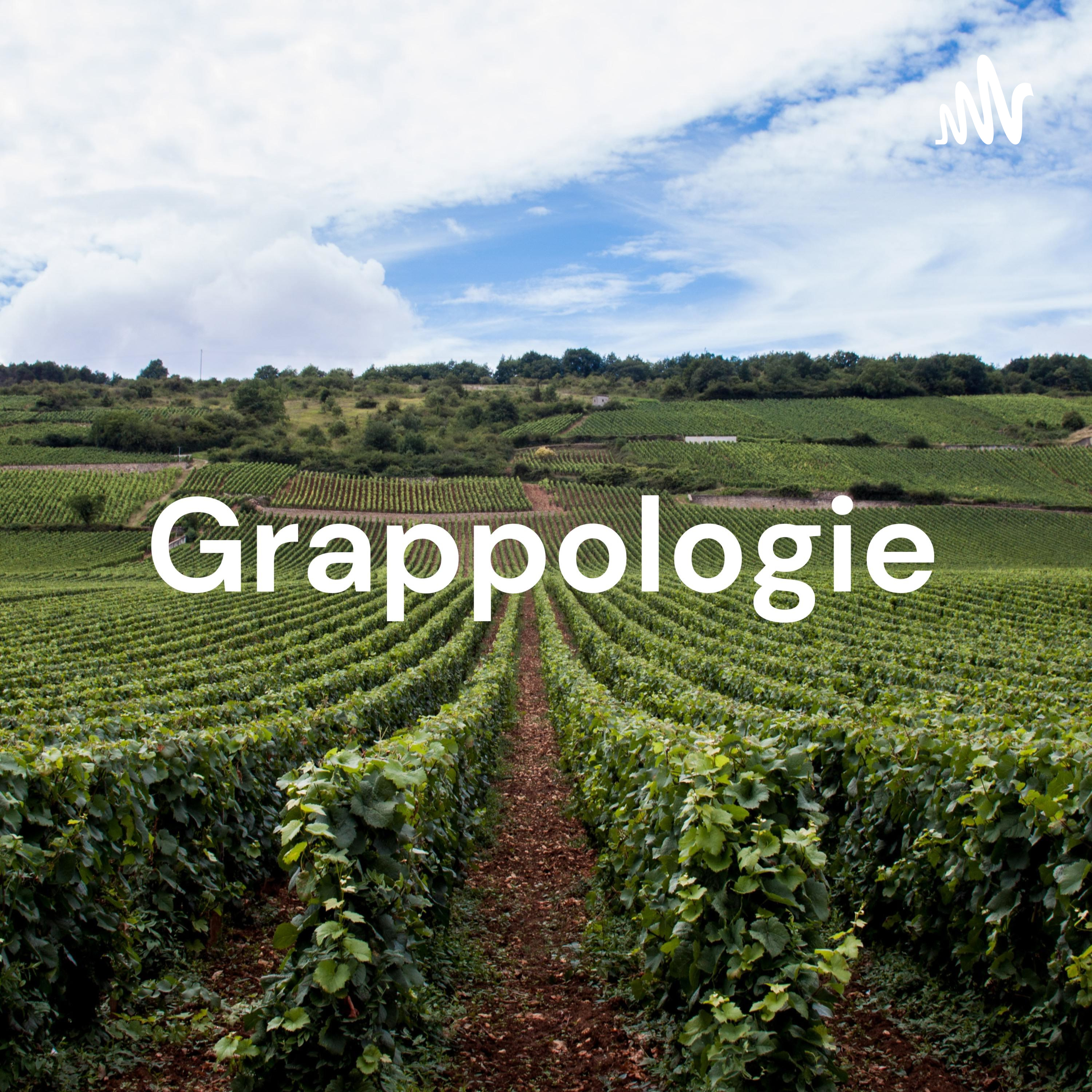 Grappologie - Le Podcast d'iDealwine