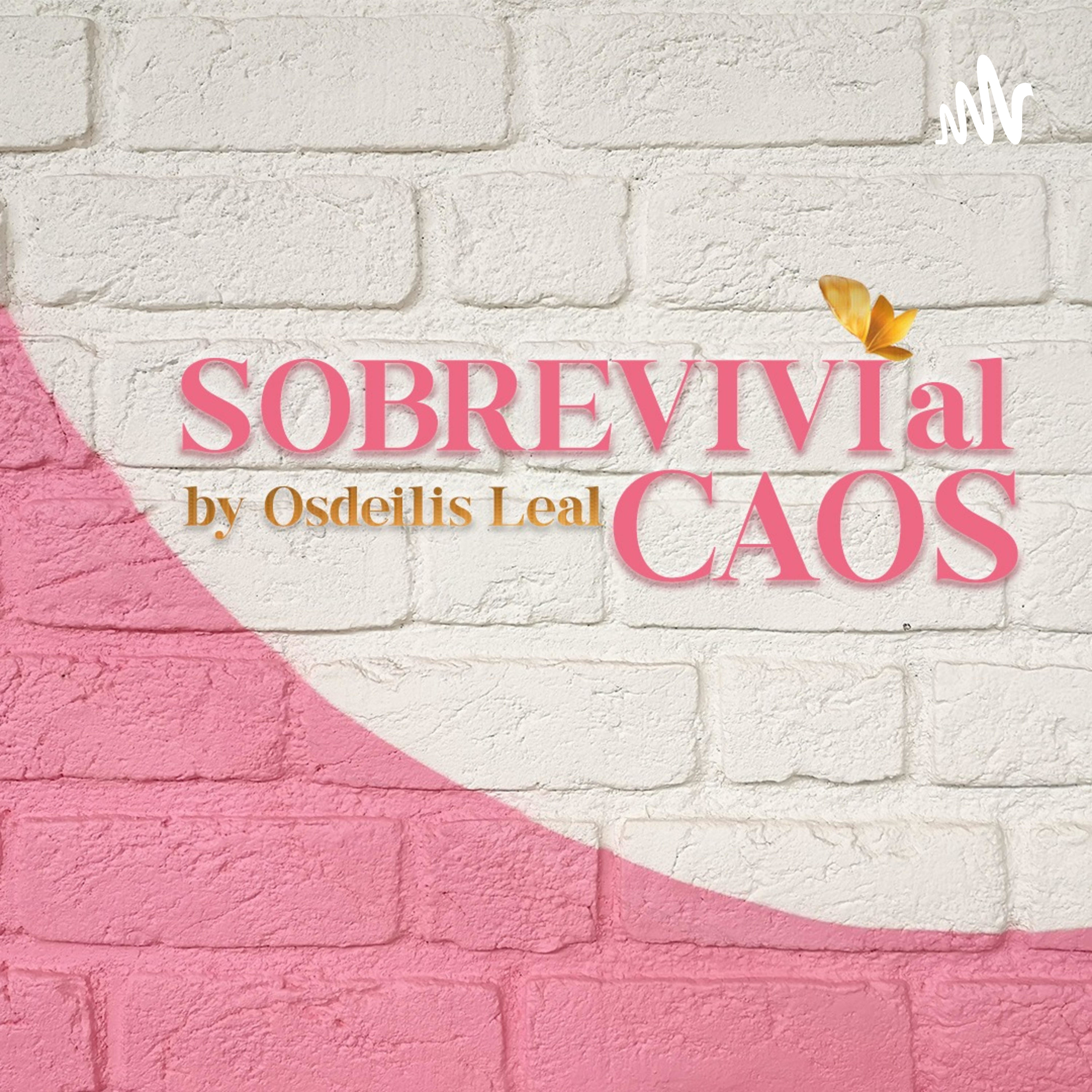 Sobreviví al caos