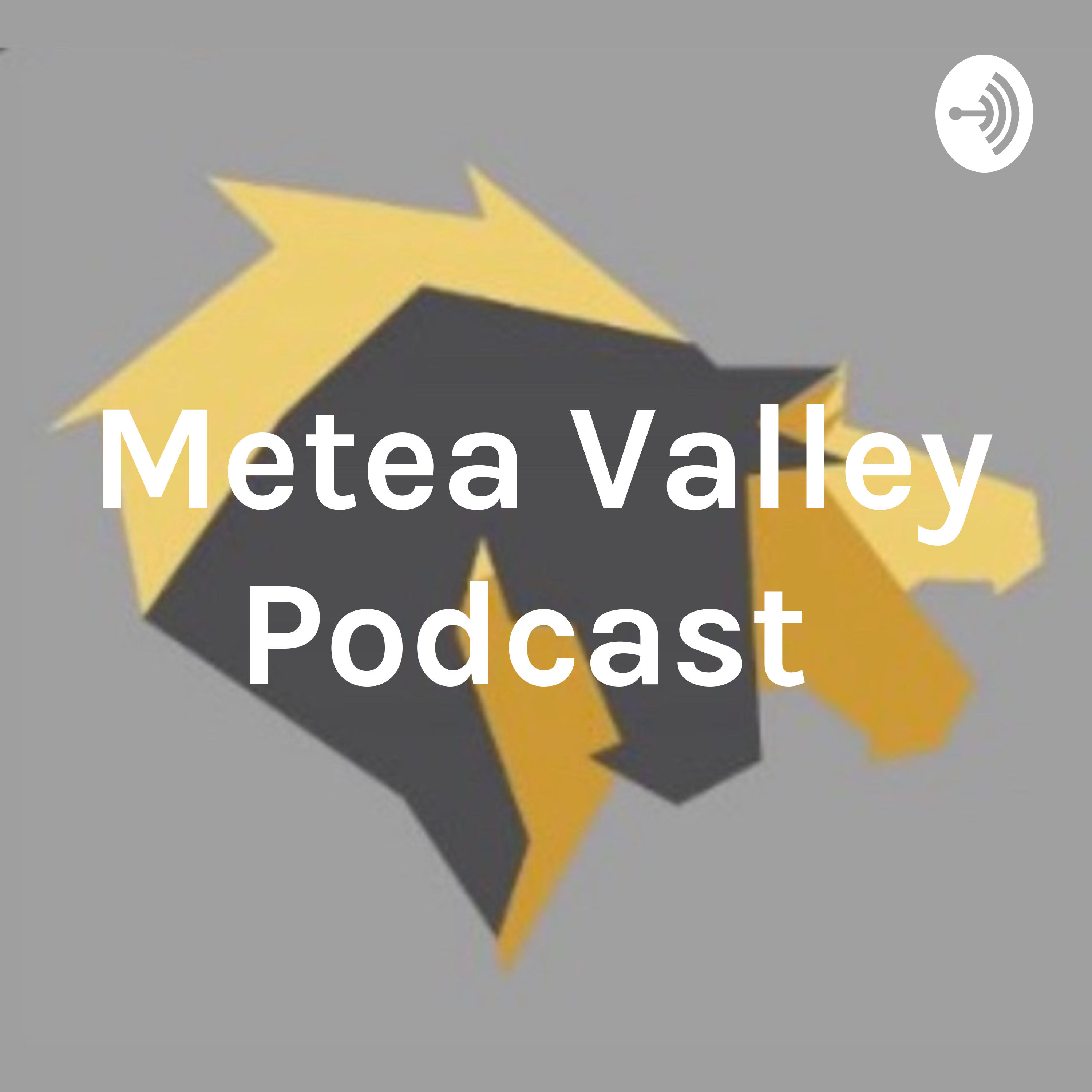 Metea Valley Podcast