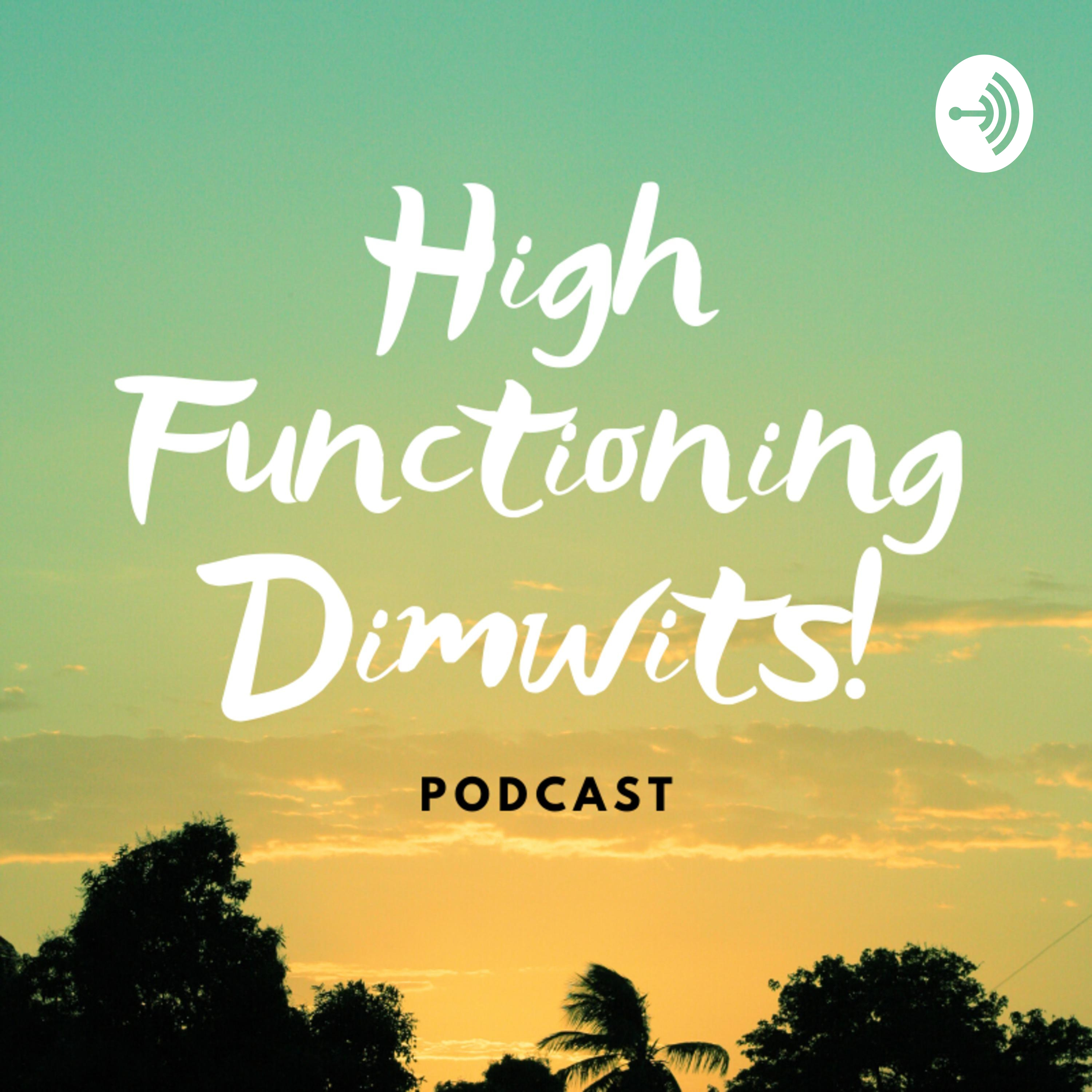 High Functioning Dimwits