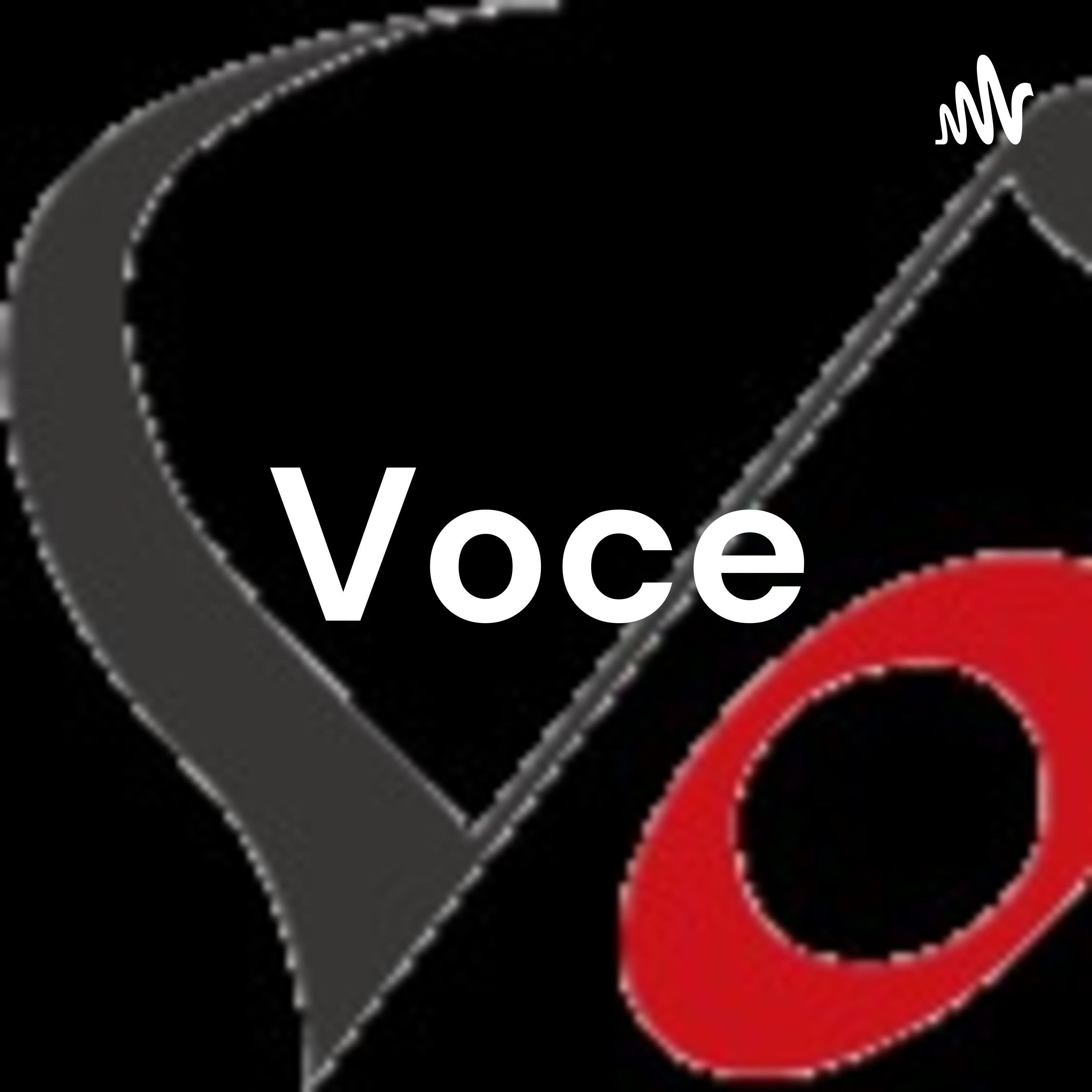 Voce名作劇場