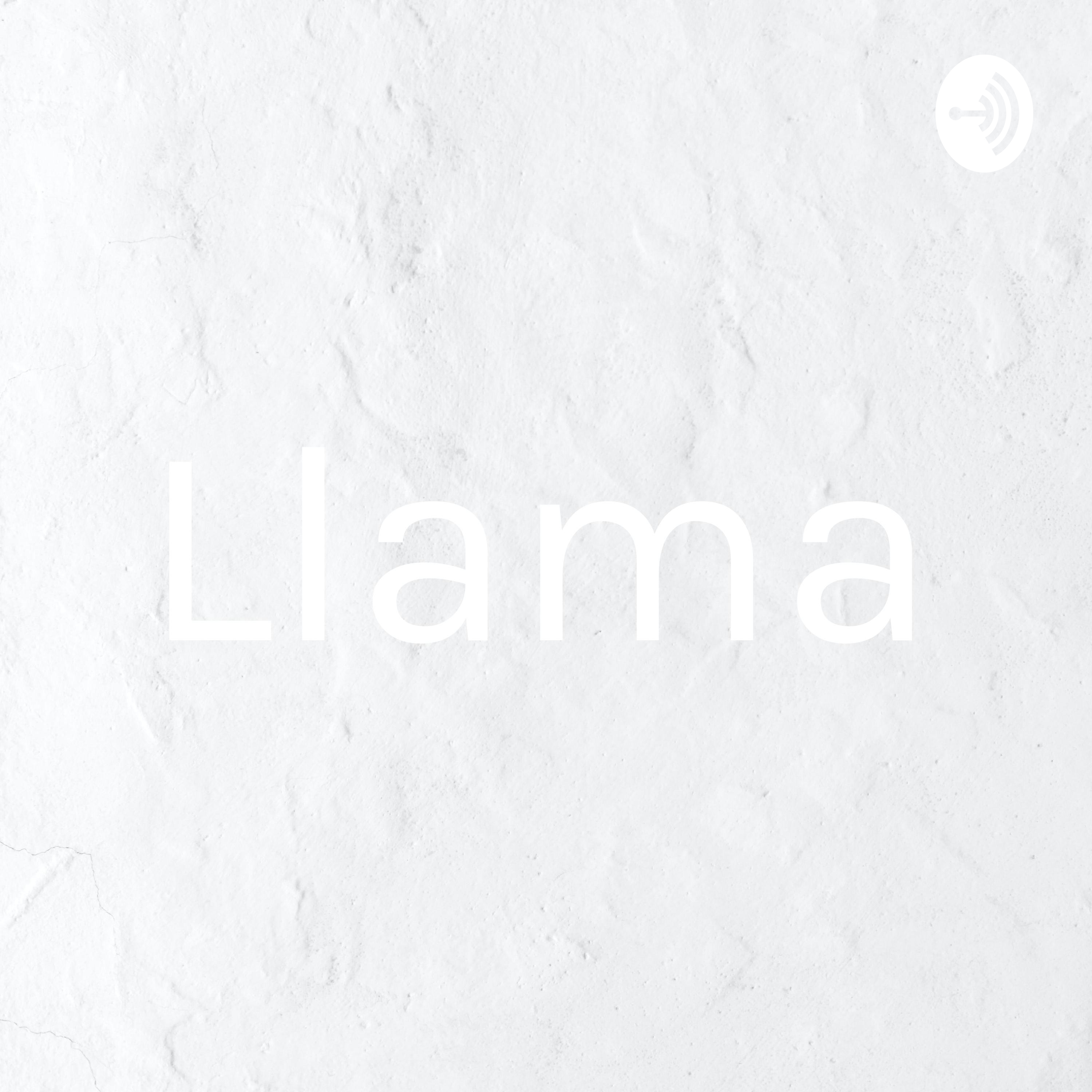 Llama