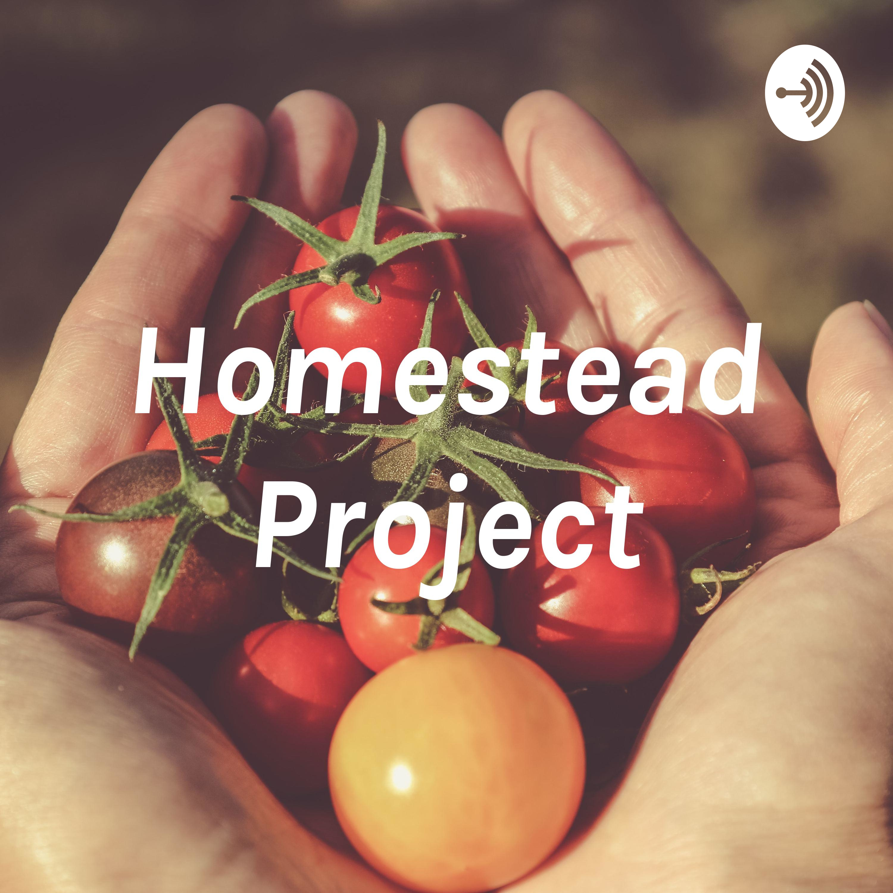 Homestead Project