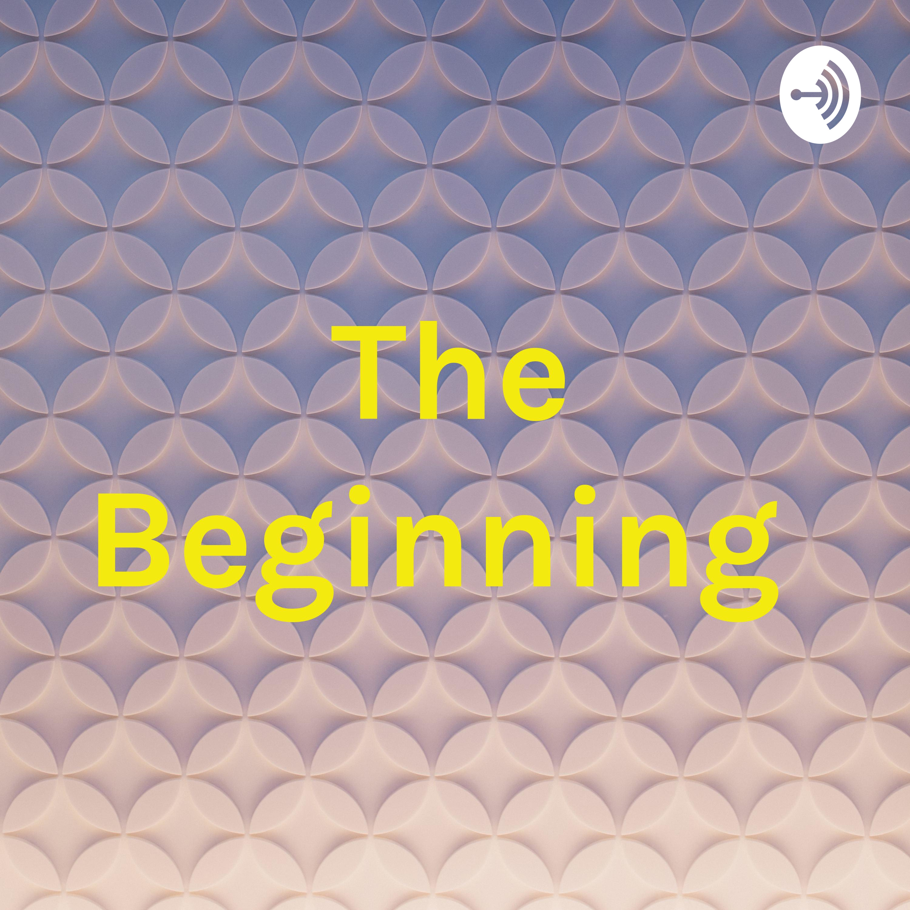 The Beginning 