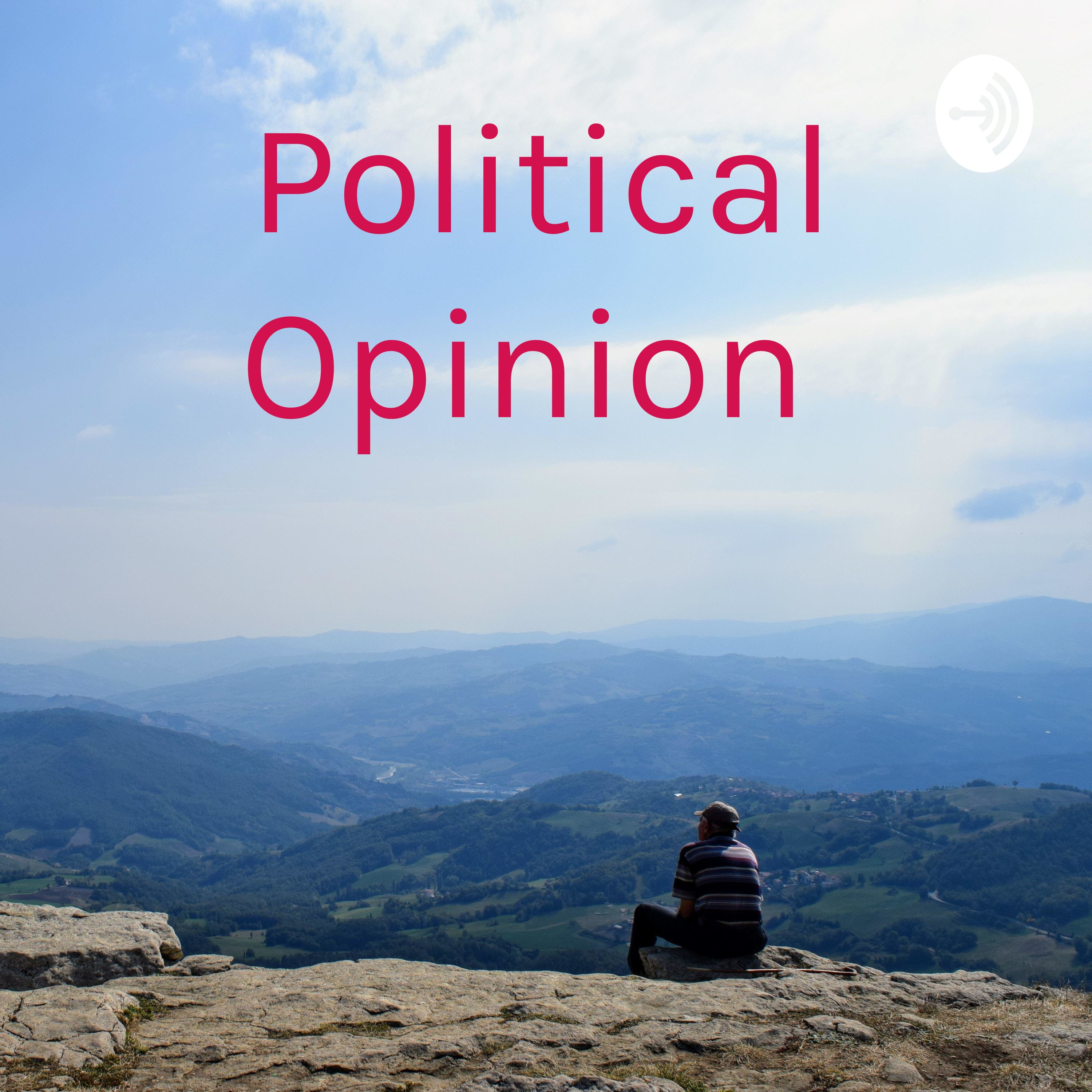 Political Opinion 
