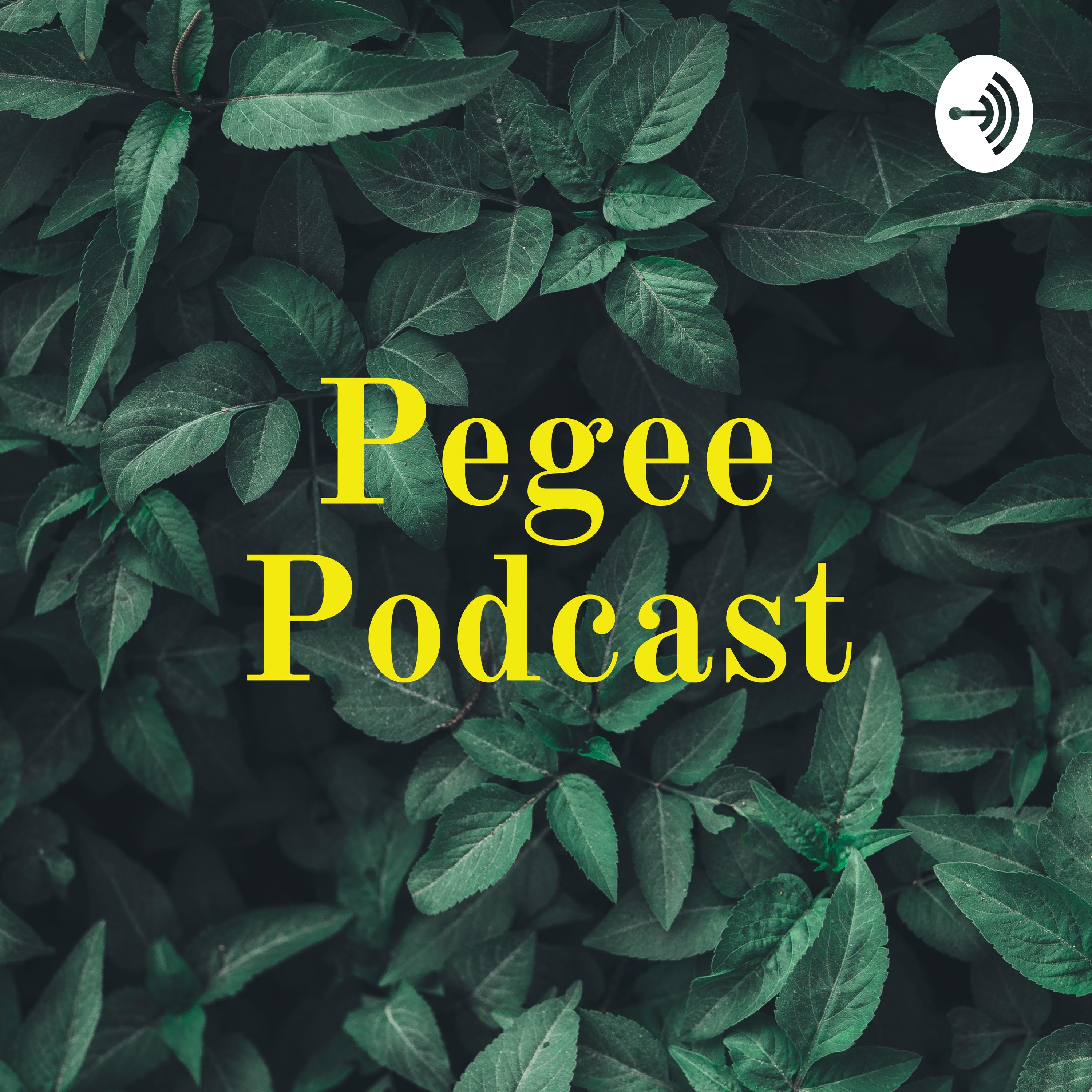 Pegee Podcast podcast artwork
