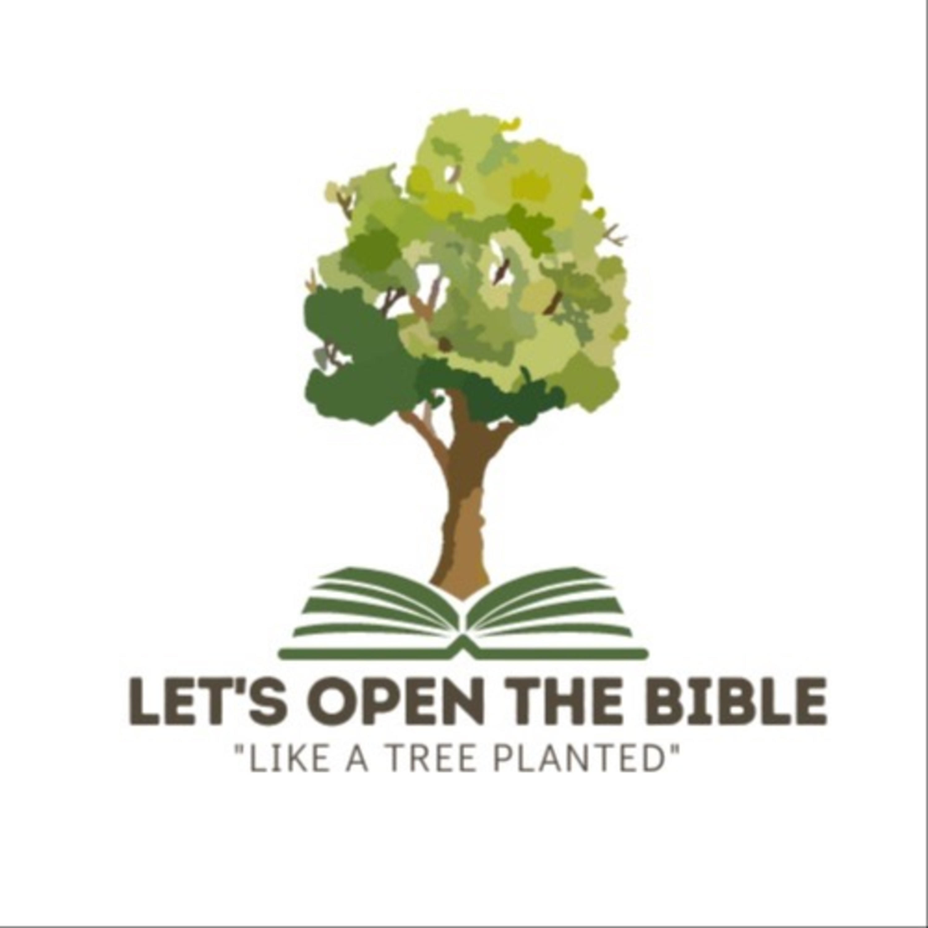 Lets Open the Bible podcast artwork