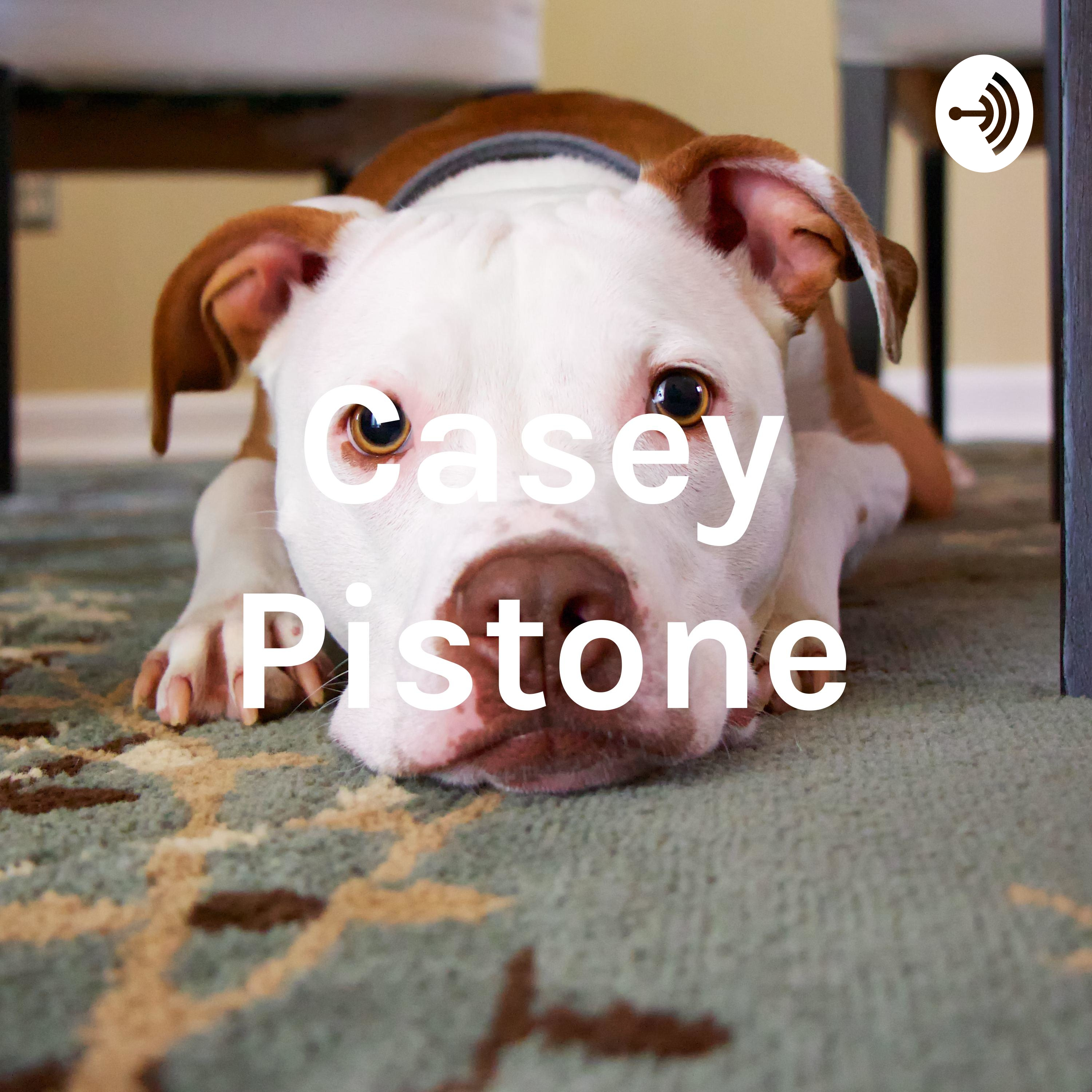 Casey Pistone