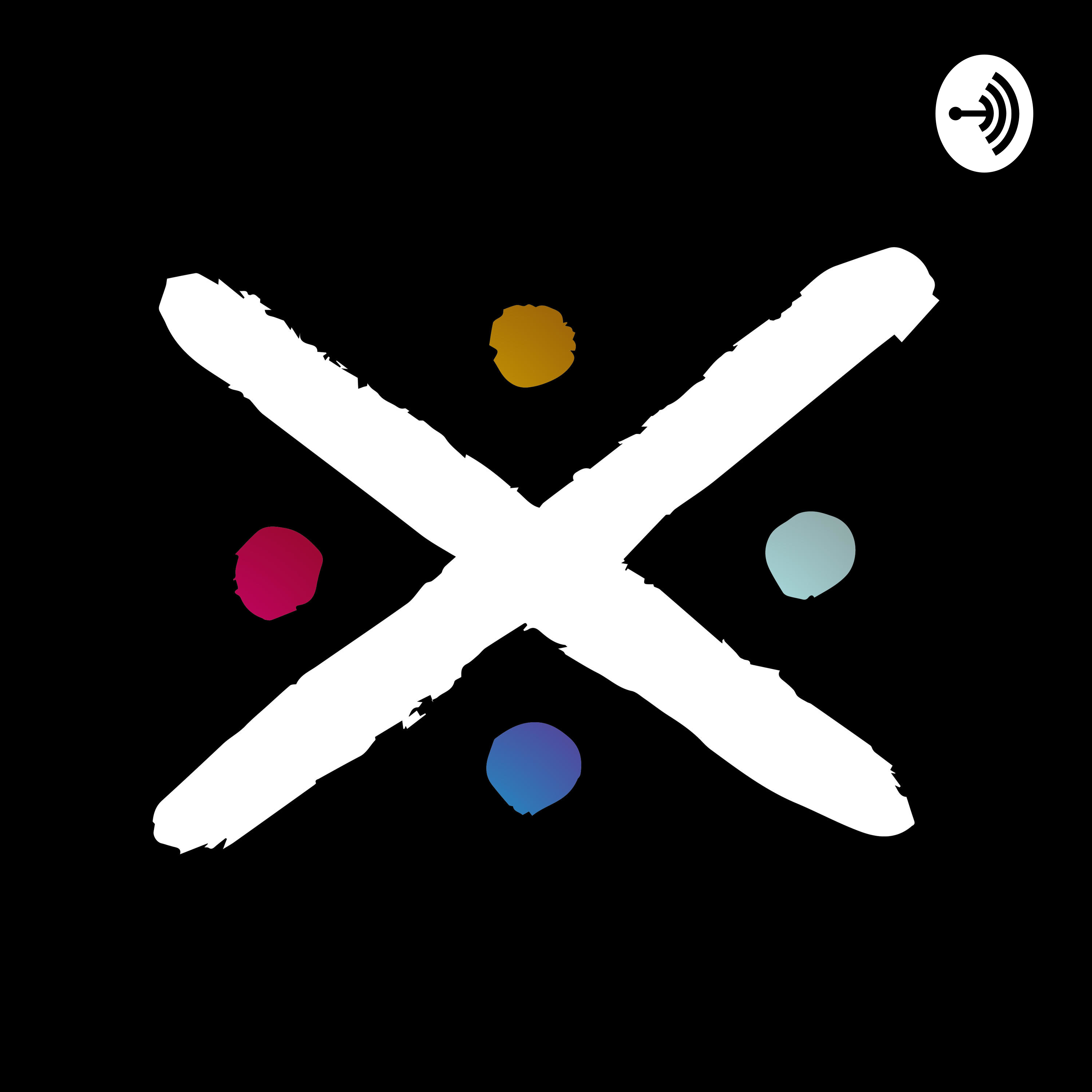 Xamanicos
