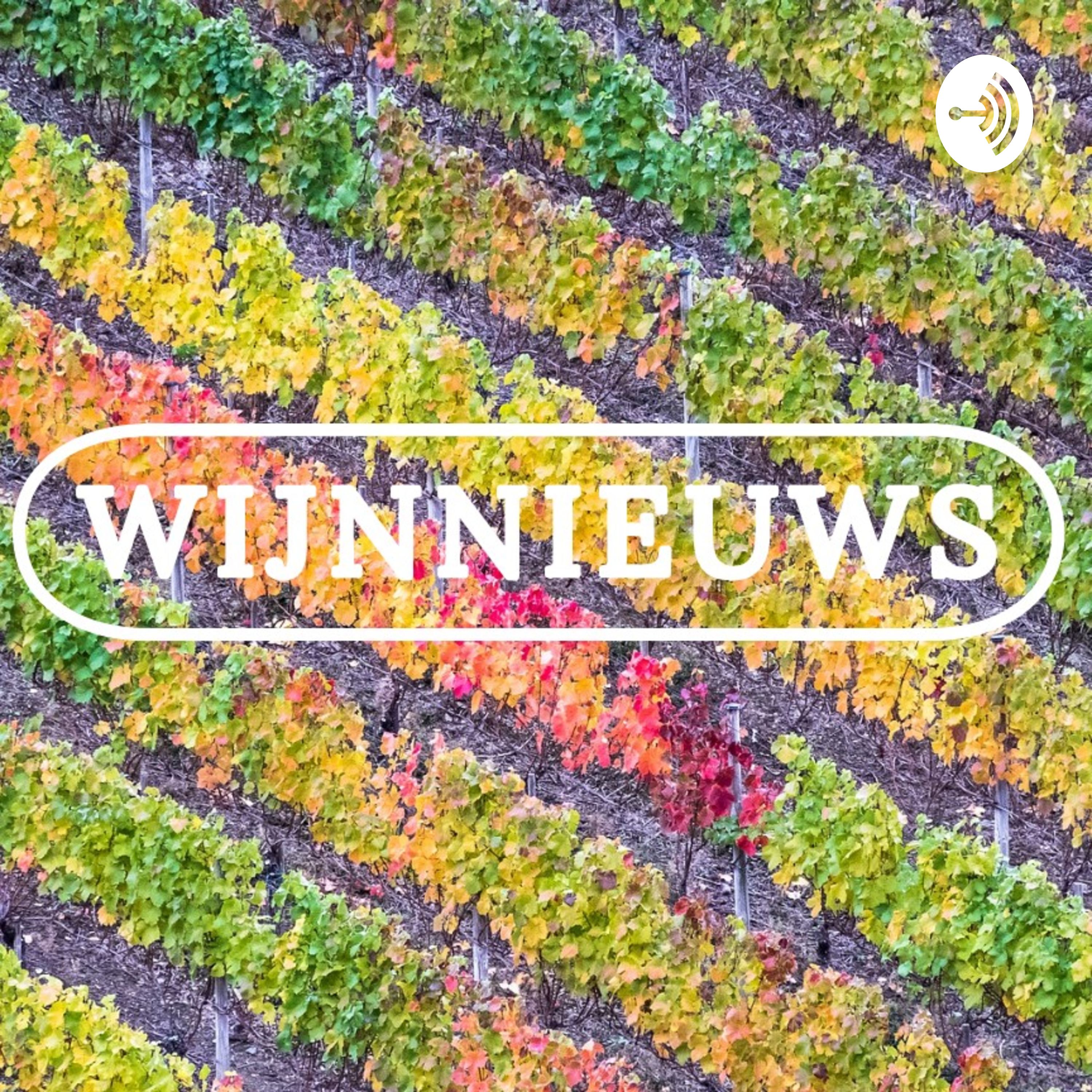 Wijnnieuws van de week