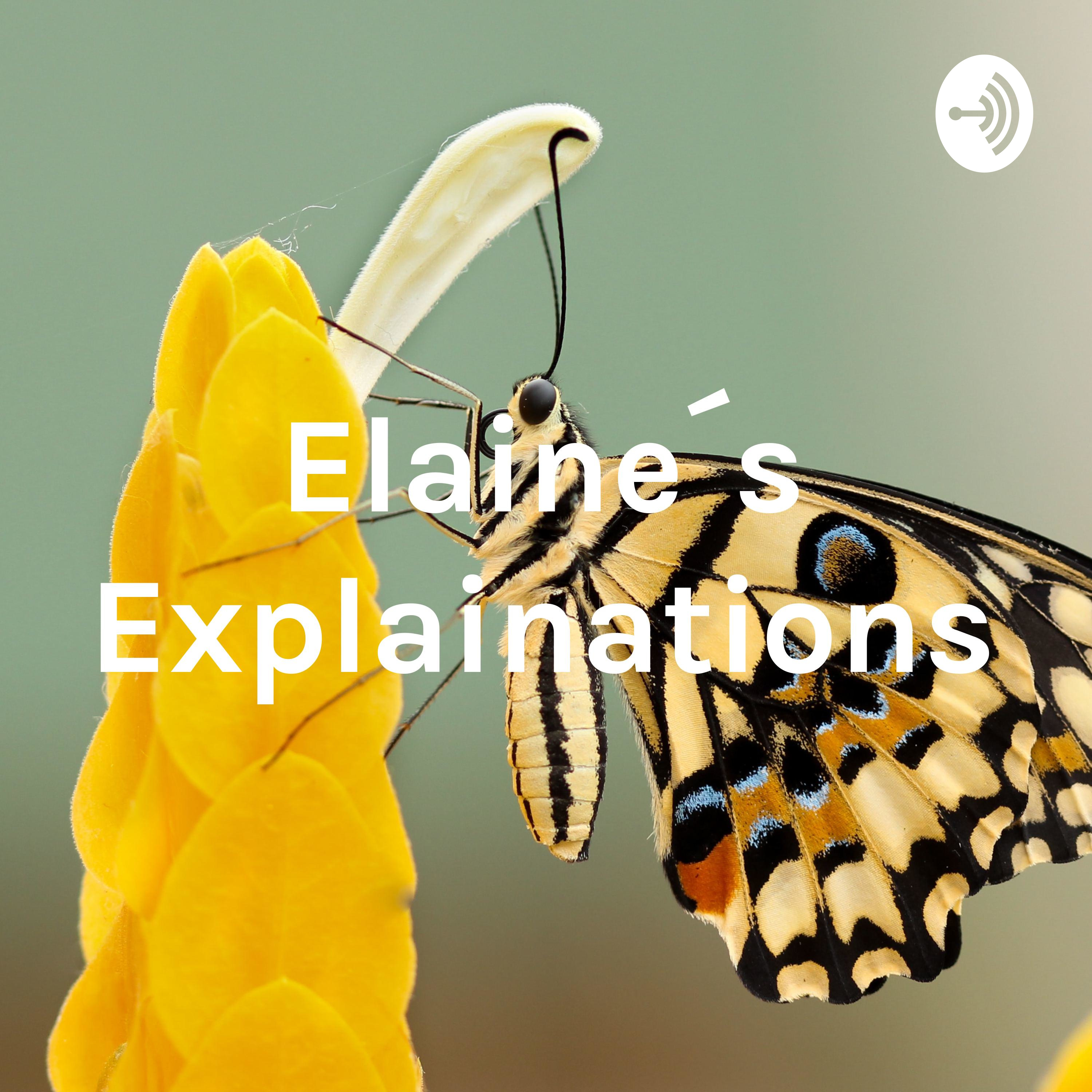Elaine´s Explainations: My Name