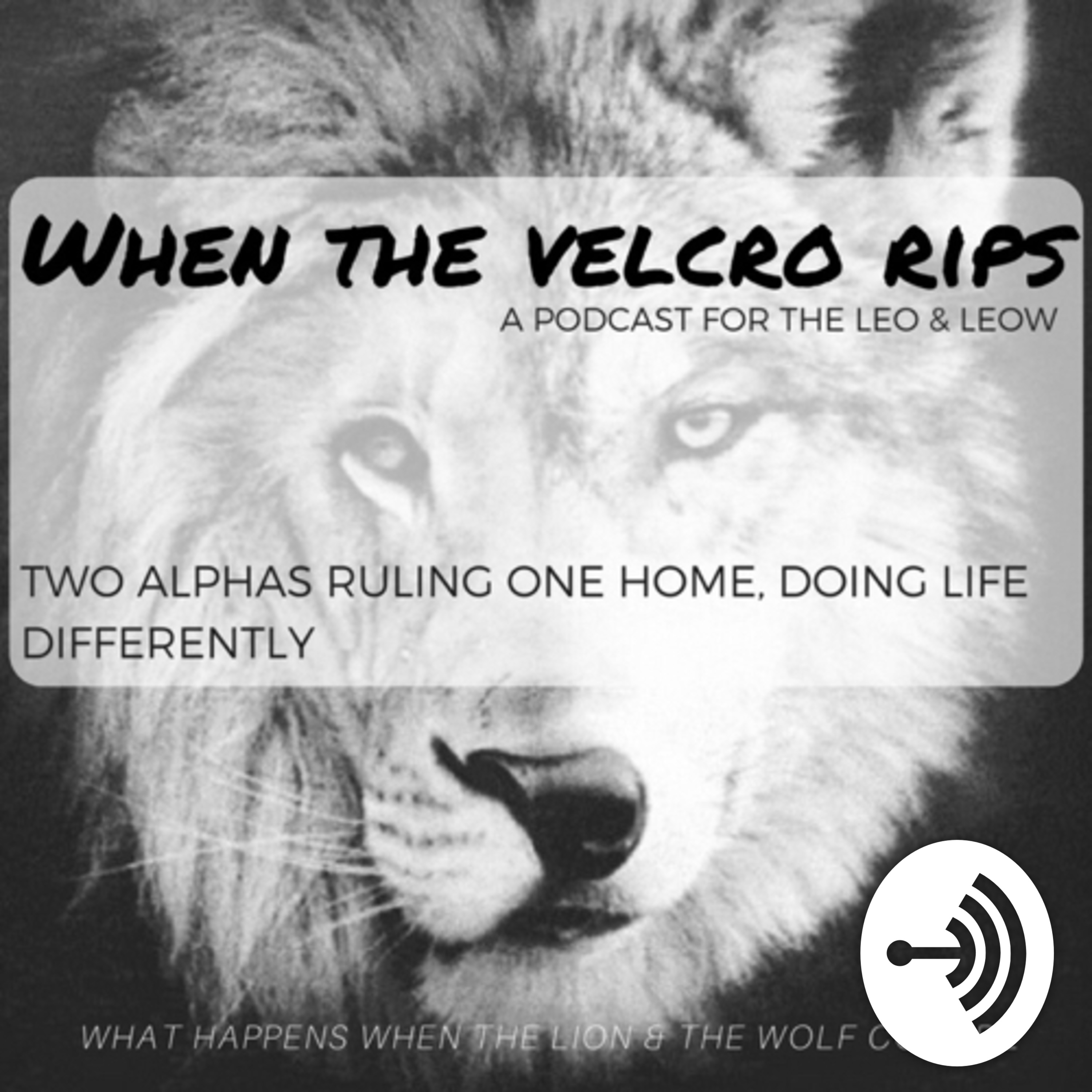Episode 3: Feeding The LEO