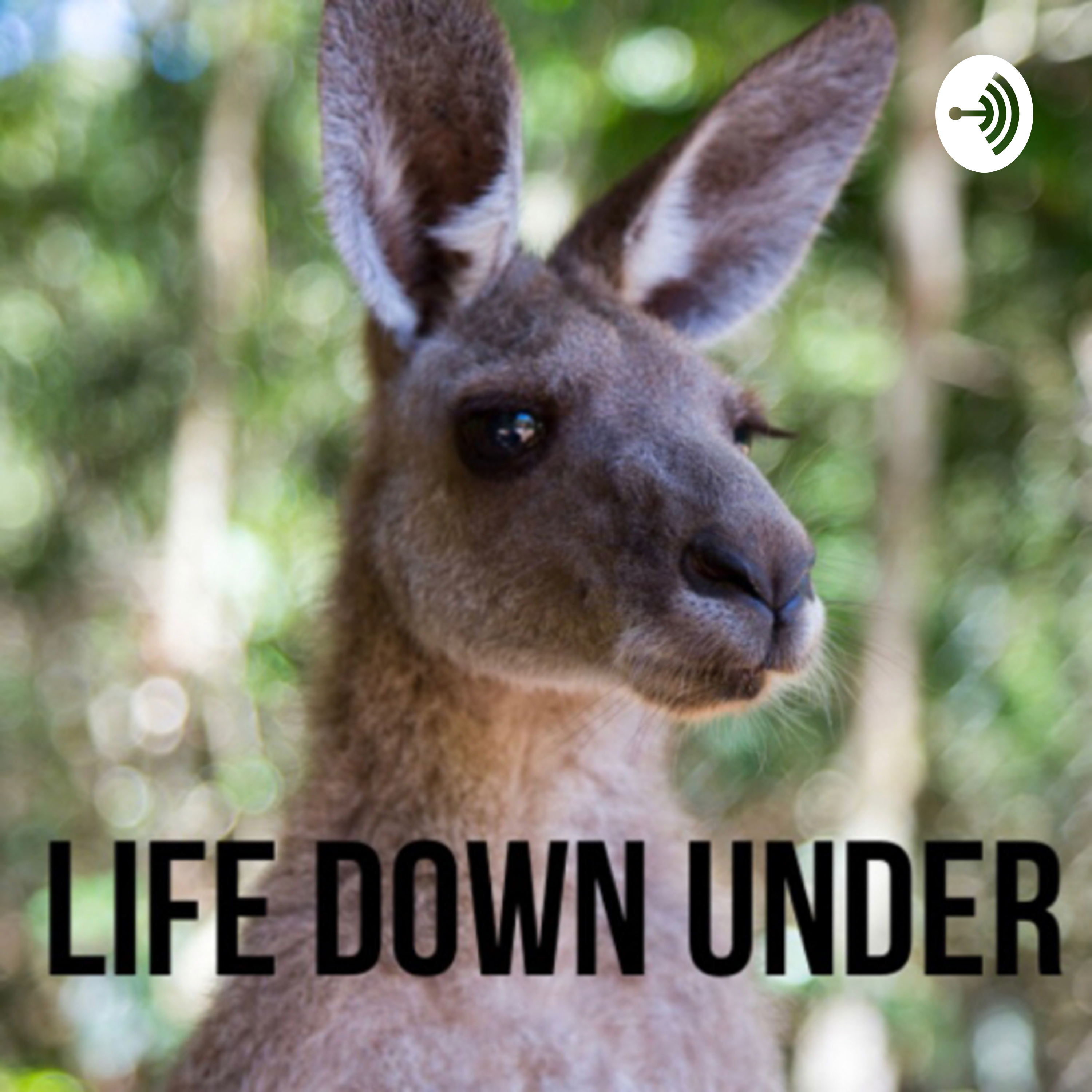 Life Down Under