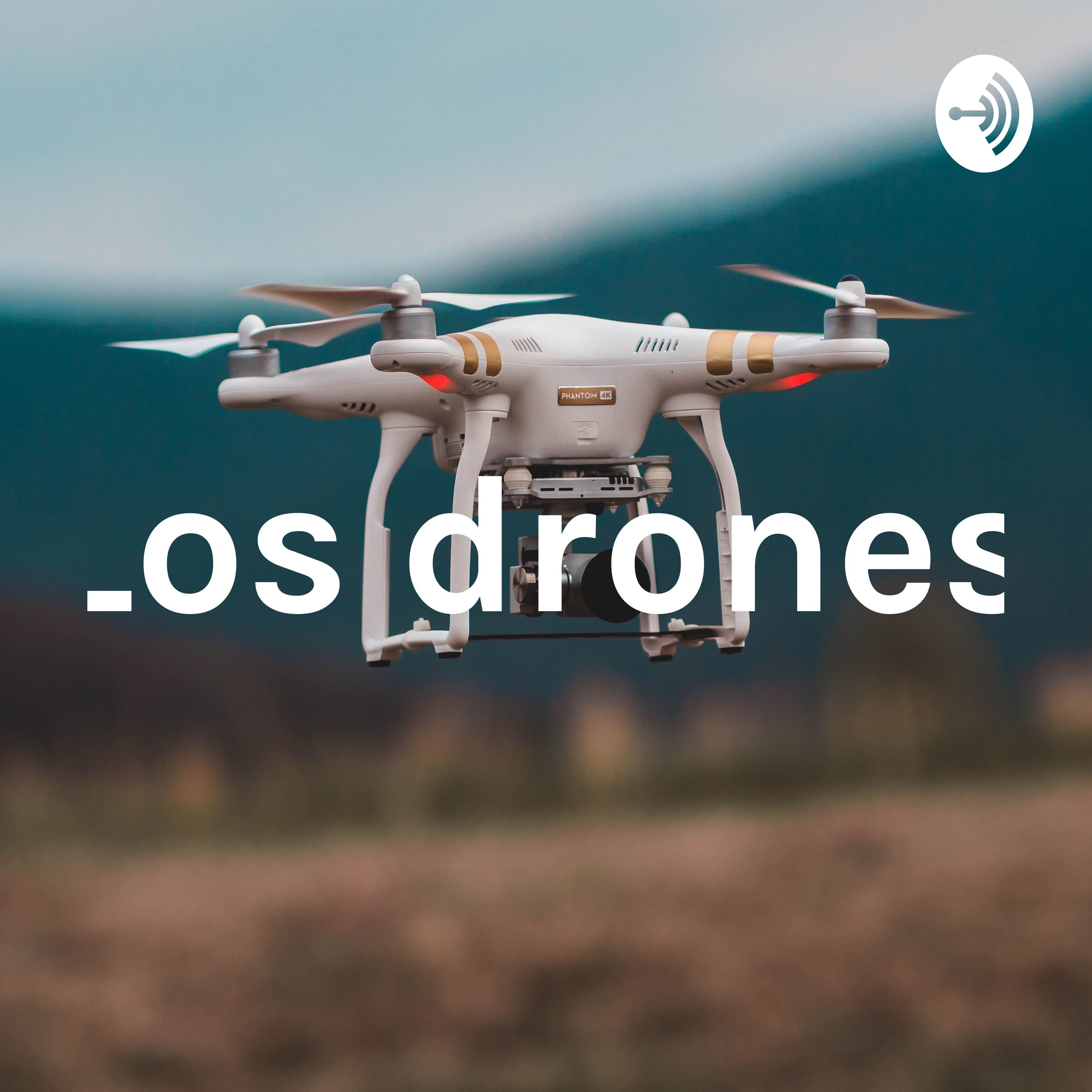 Los drones
