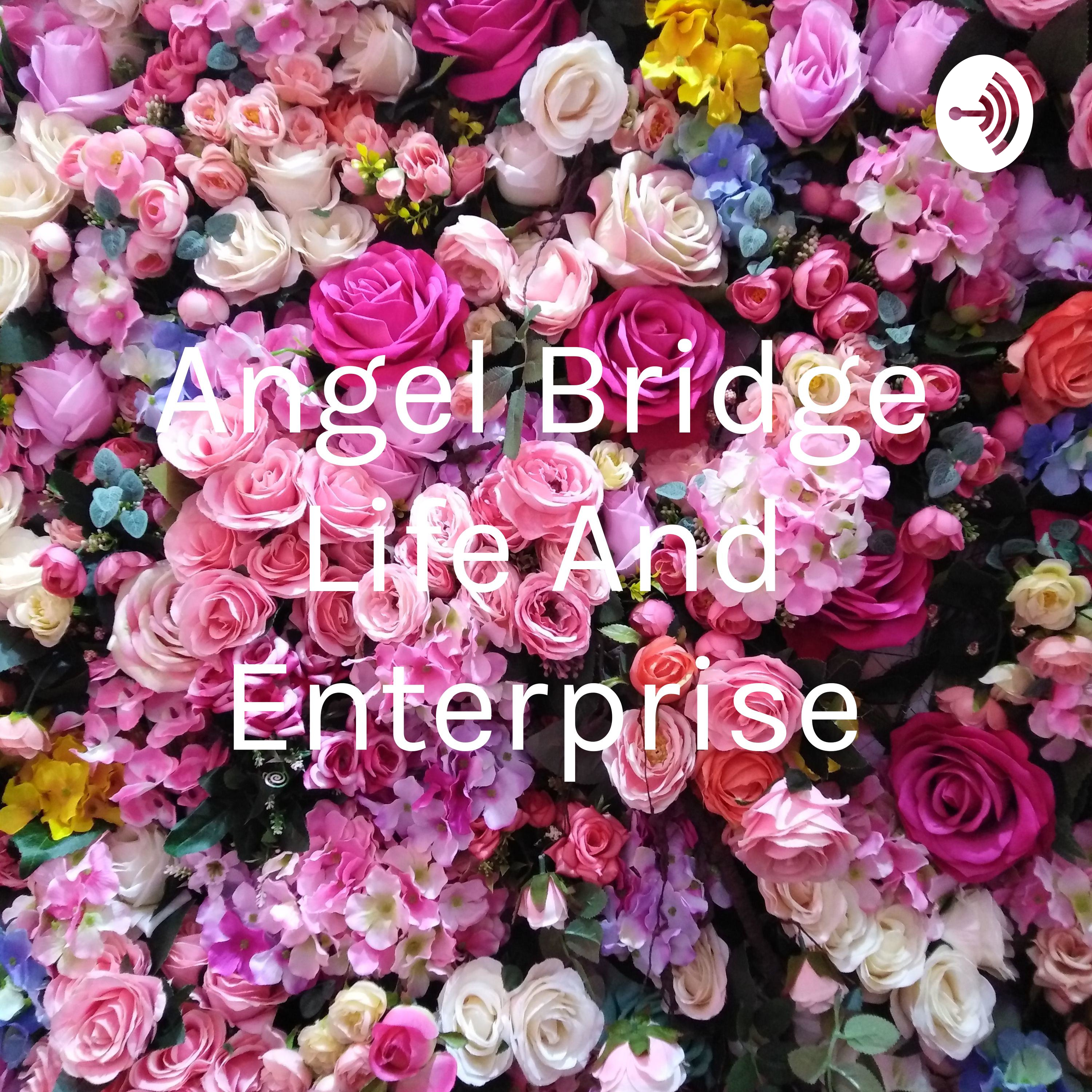  Angel Bridge Life And Enterprise
