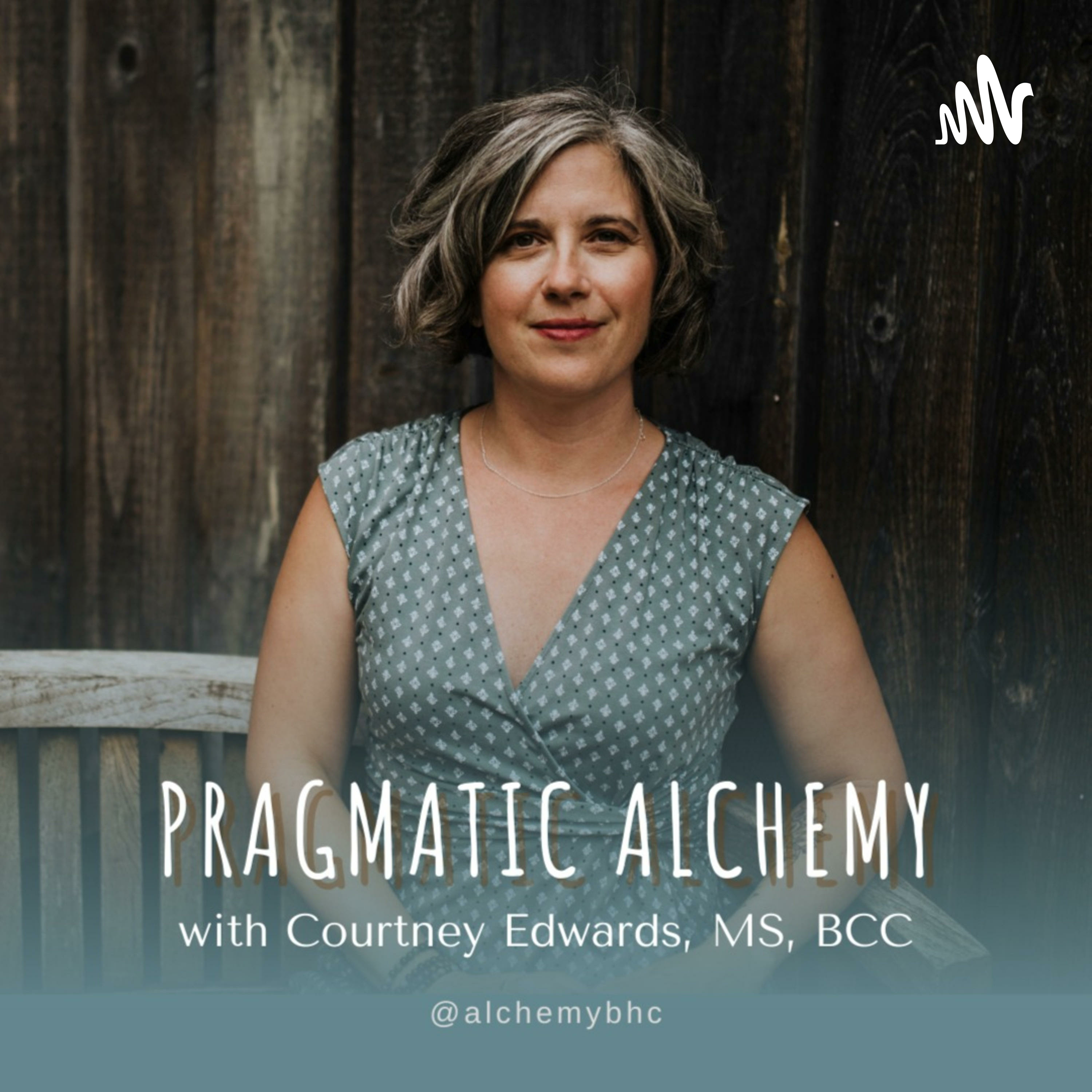 Pragmatic Alchemy cover