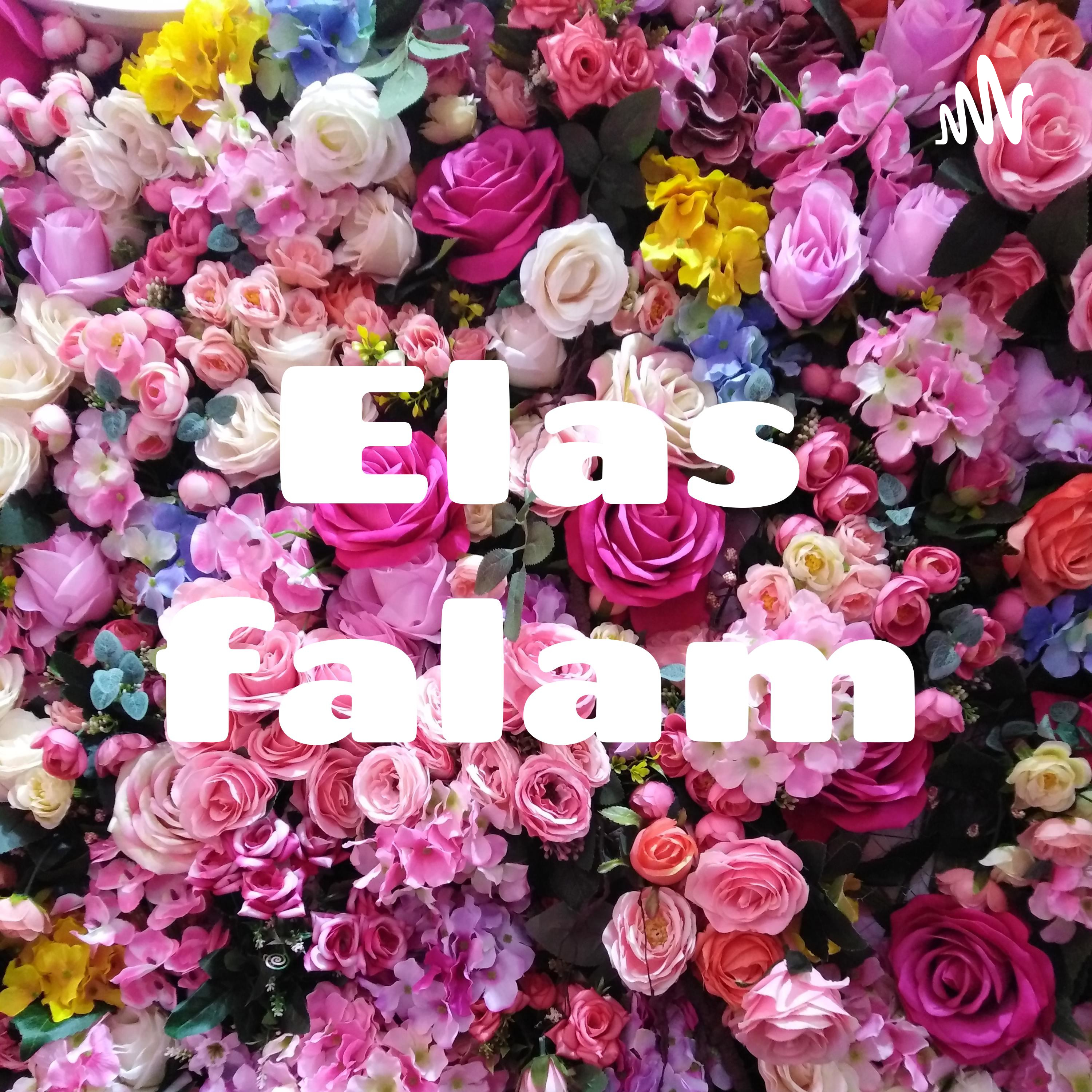 Elas falam
