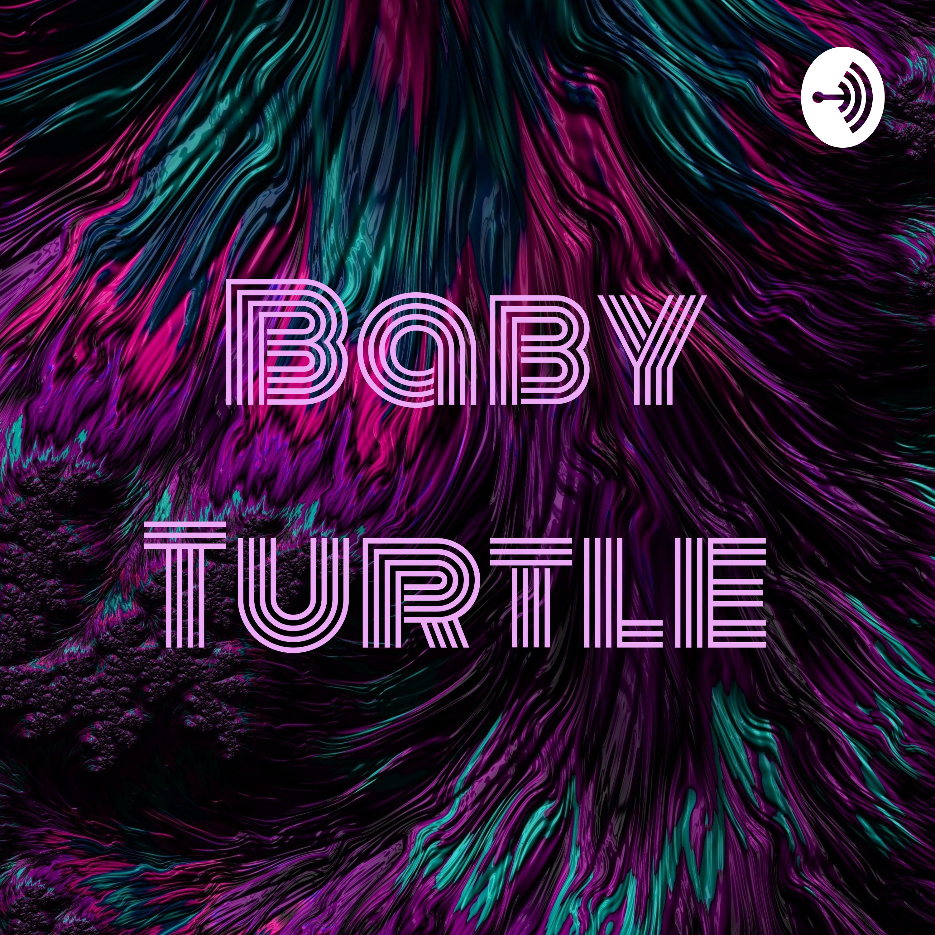 Baby Turtle 