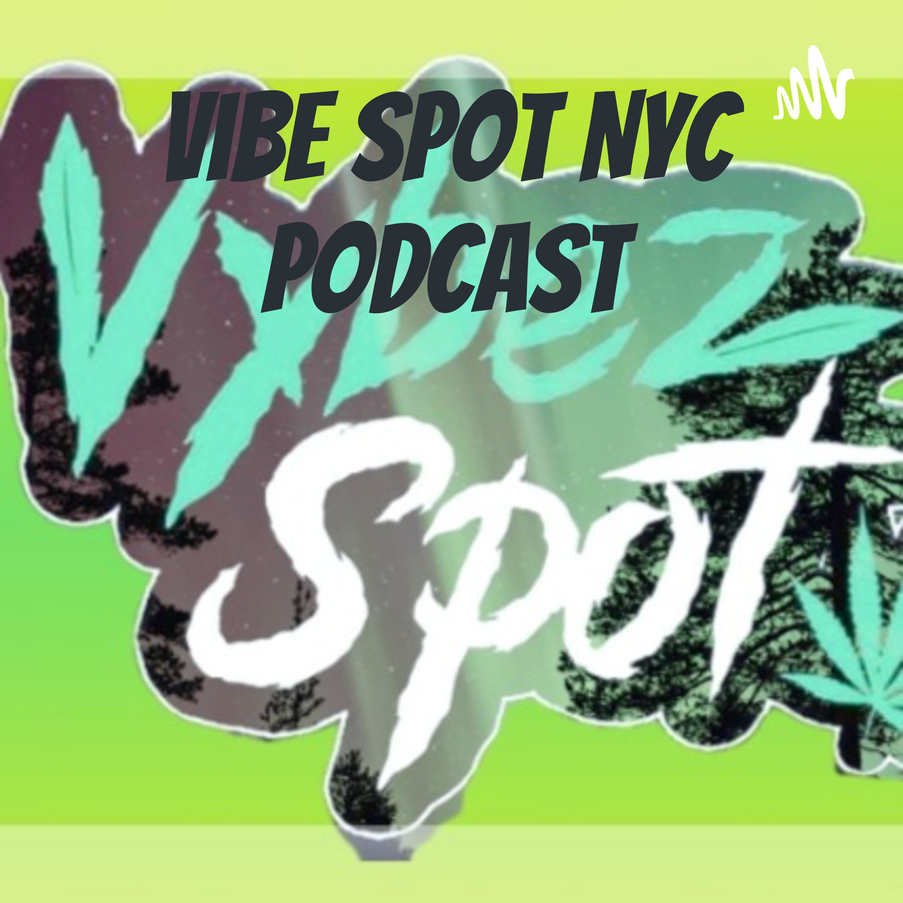 Vibe Spot NYC Podcast podcast artwork