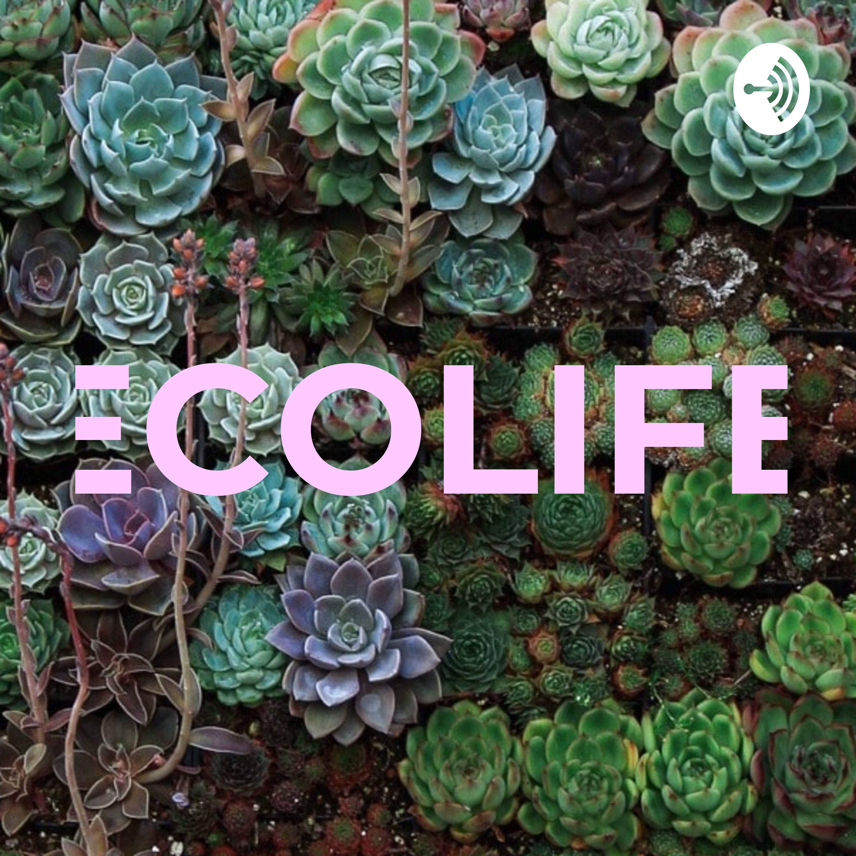 ECOLIFE