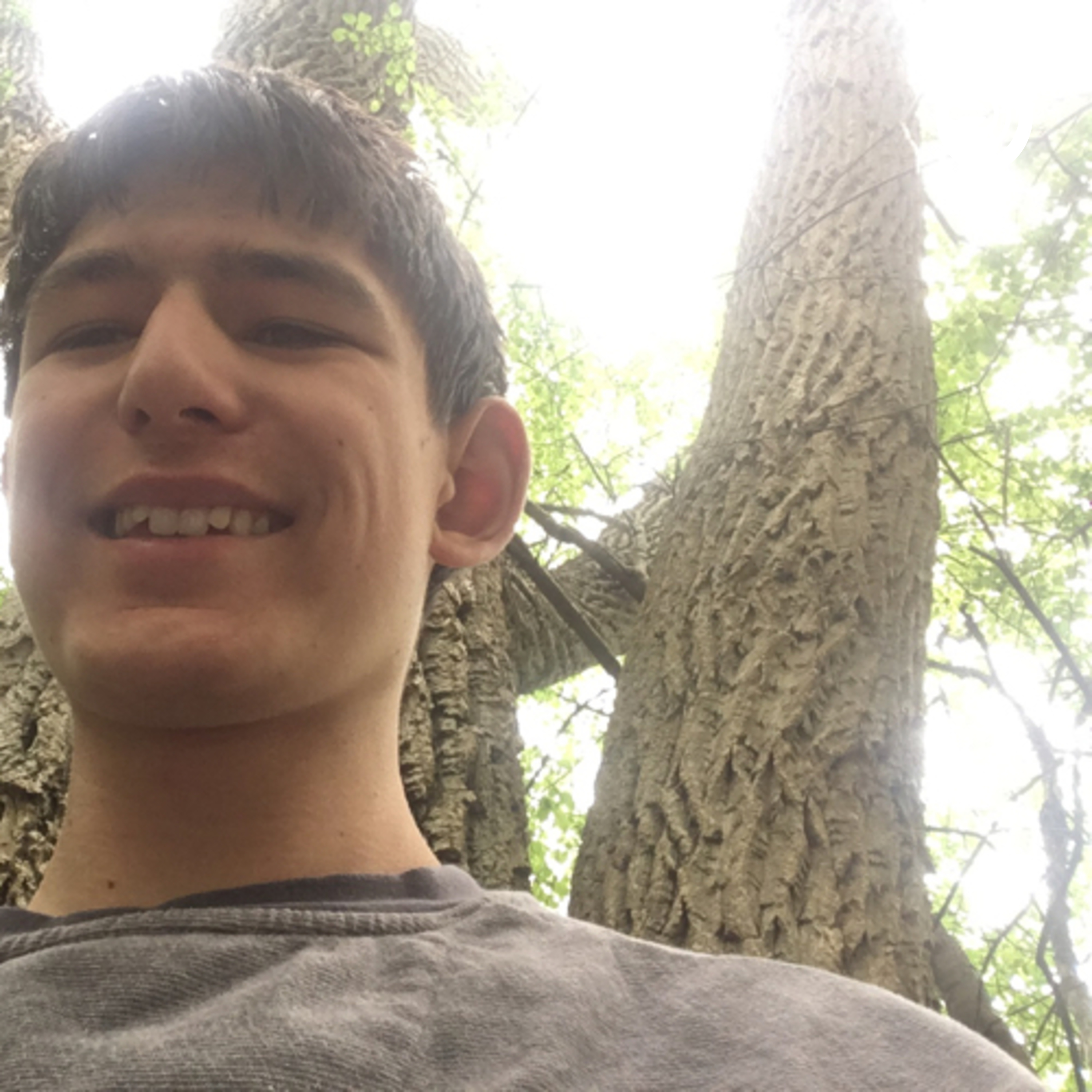 Books and Movies and theatre Oh My!