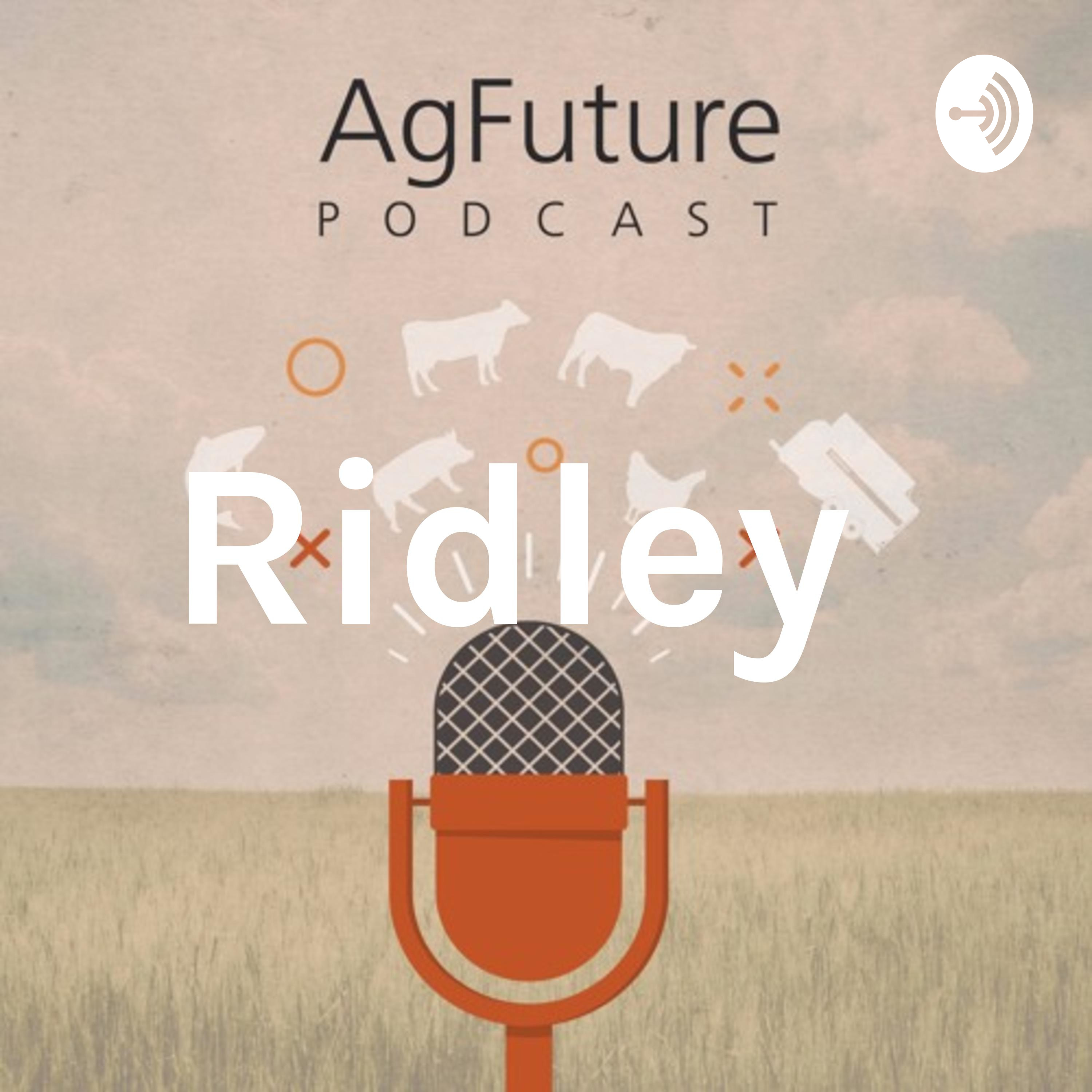ALLDIBLE | Notas técnicas de Alltech