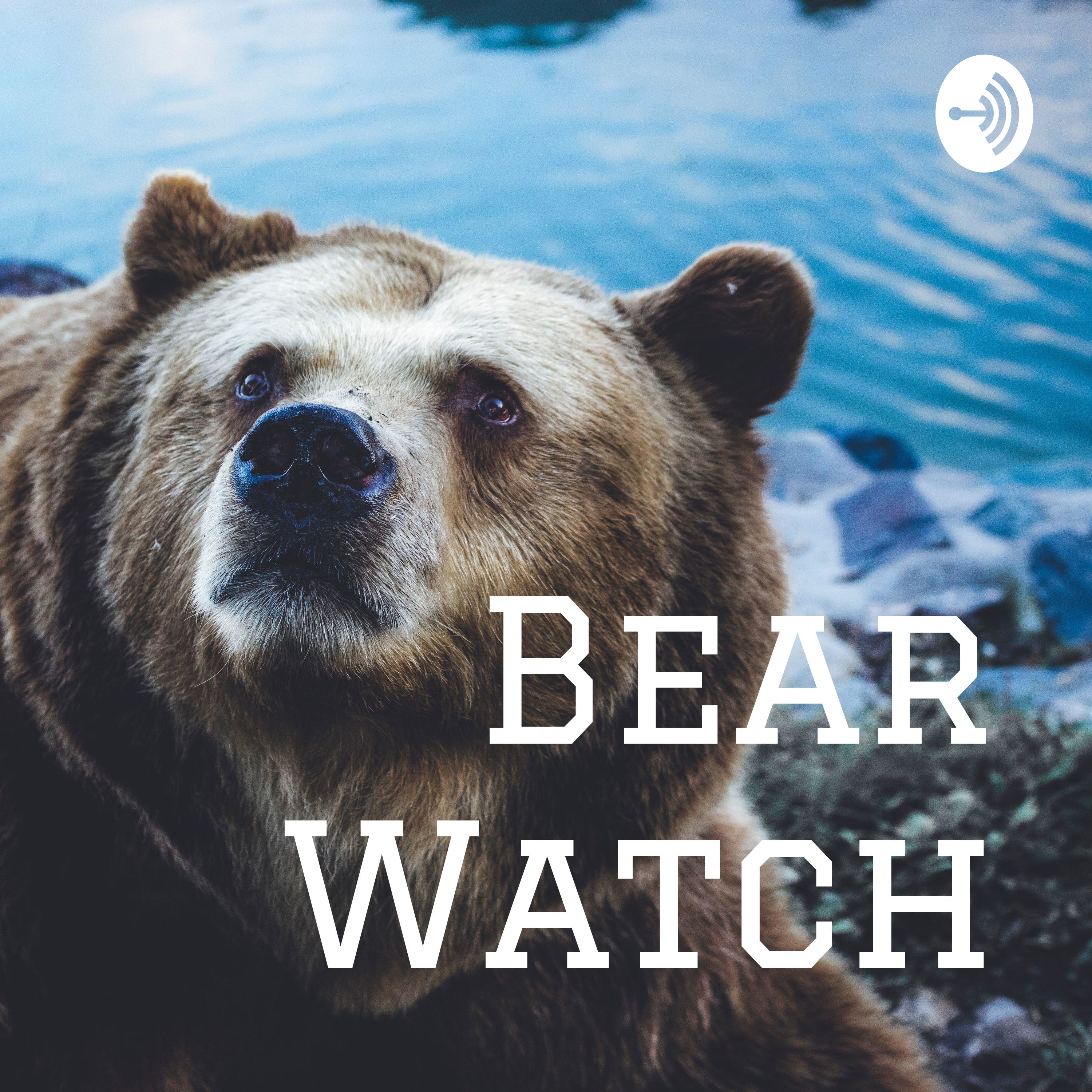 Bear Watch