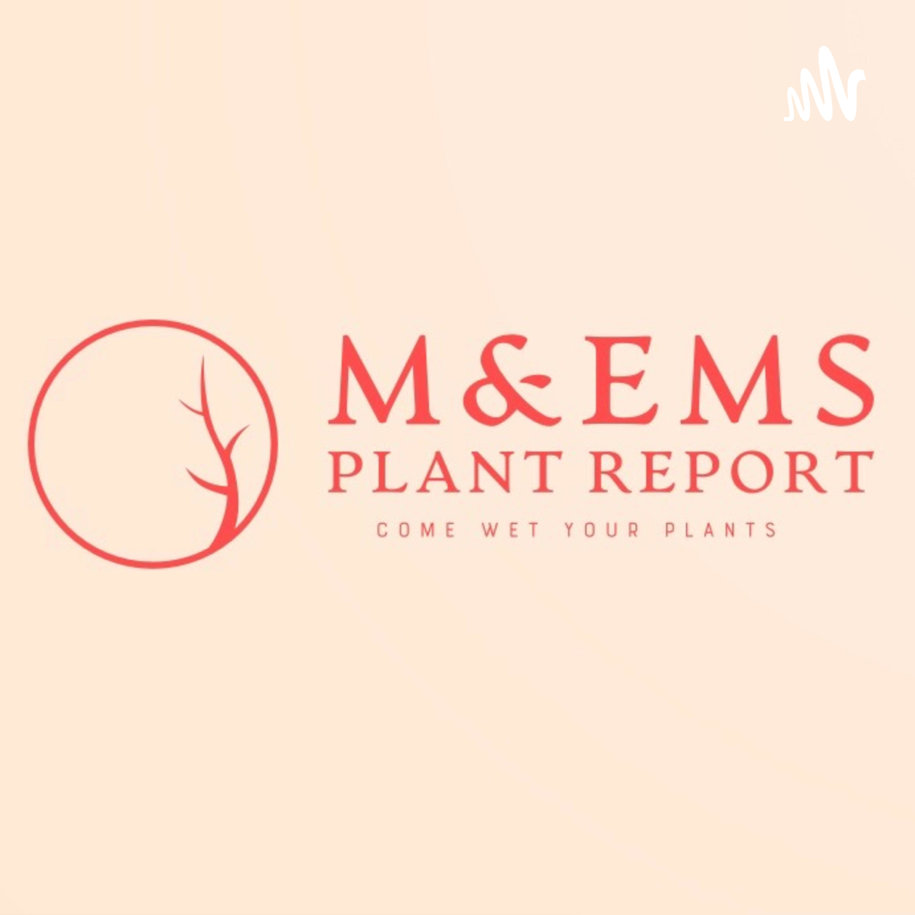 M & Em\'s Plant Report