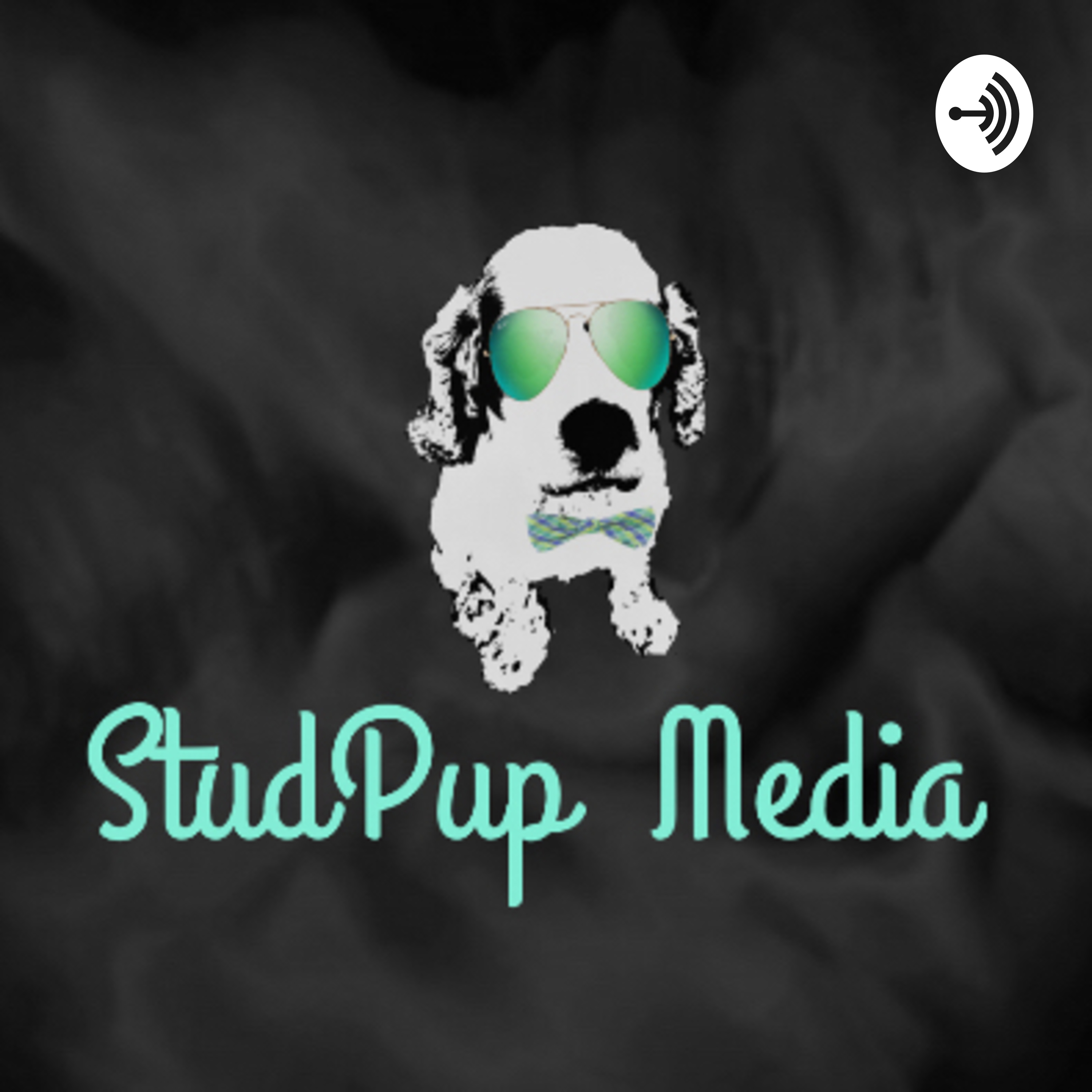 StudPupcast