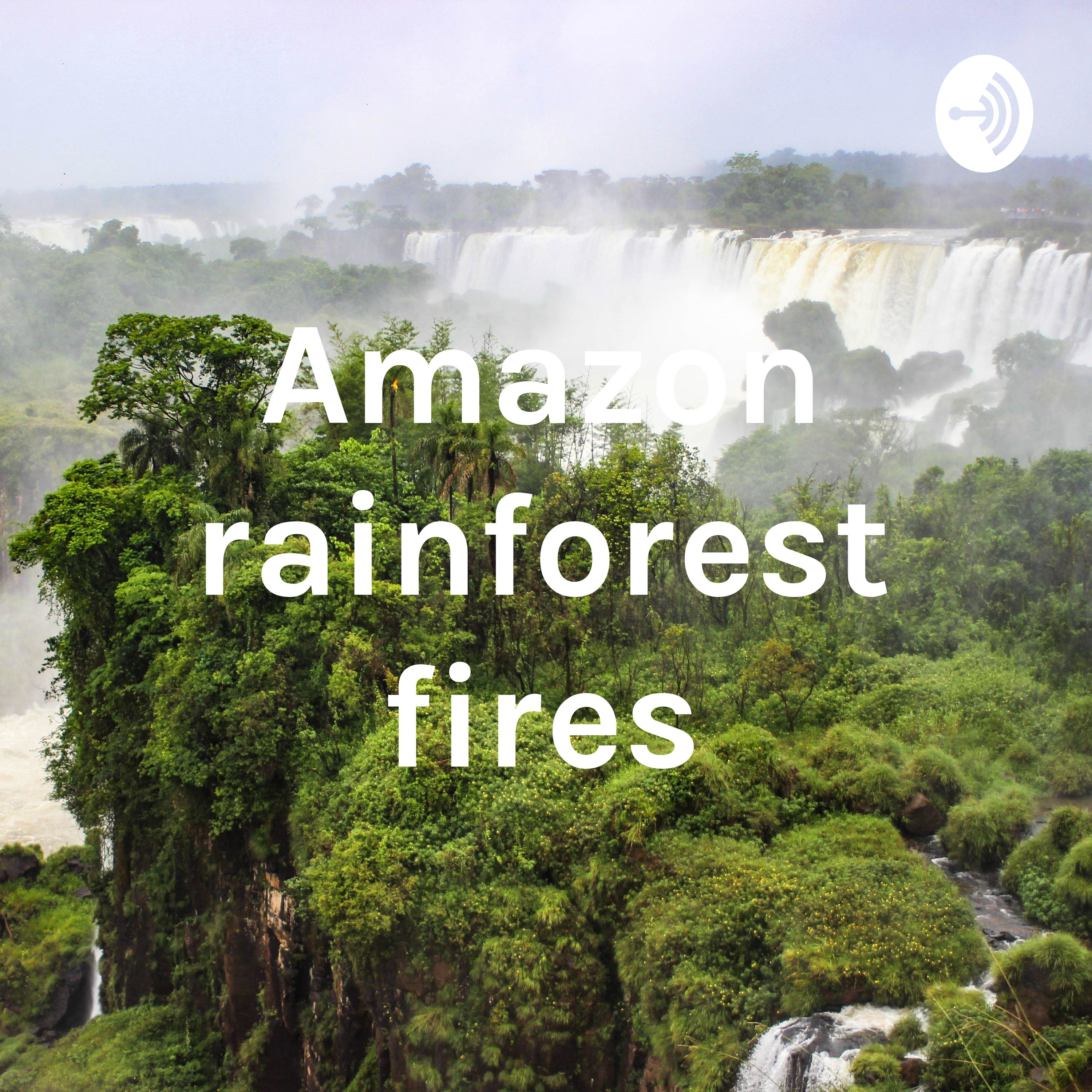 Amazon rainforest fires
