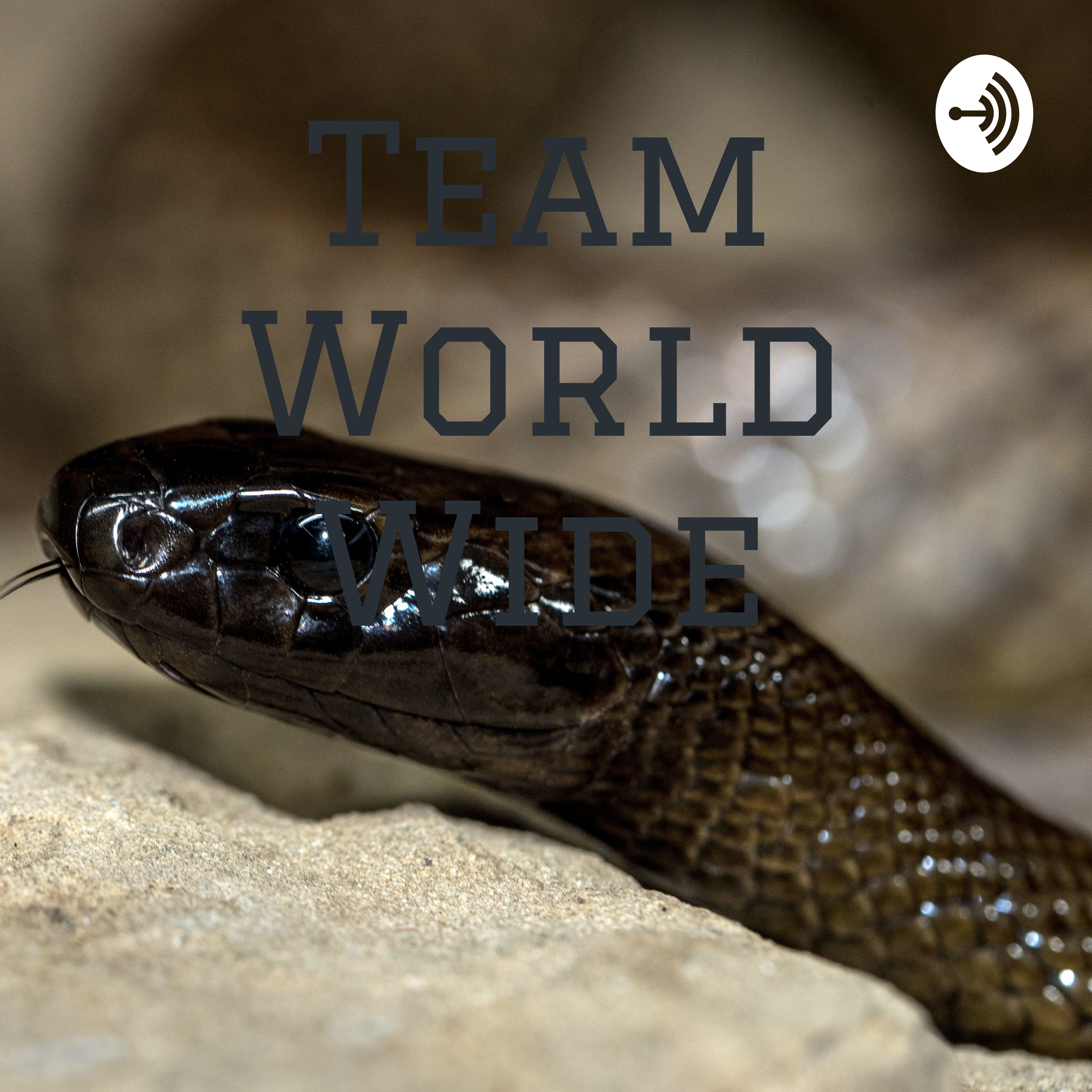 Team World Wide