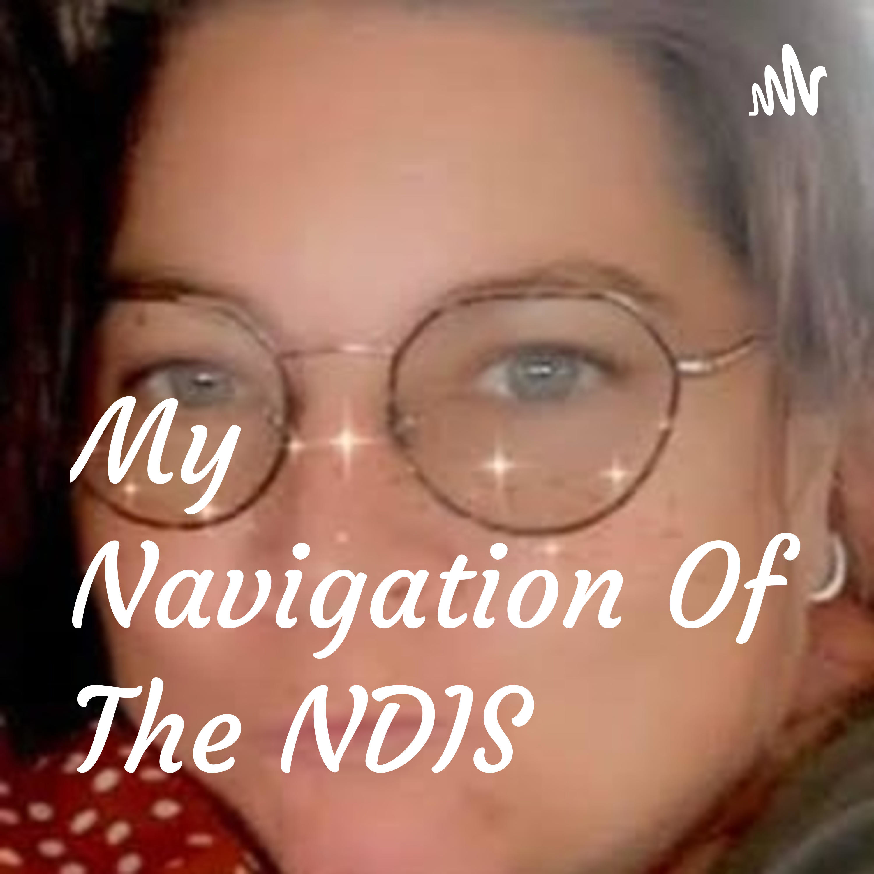 My Navigation Of The NDIS