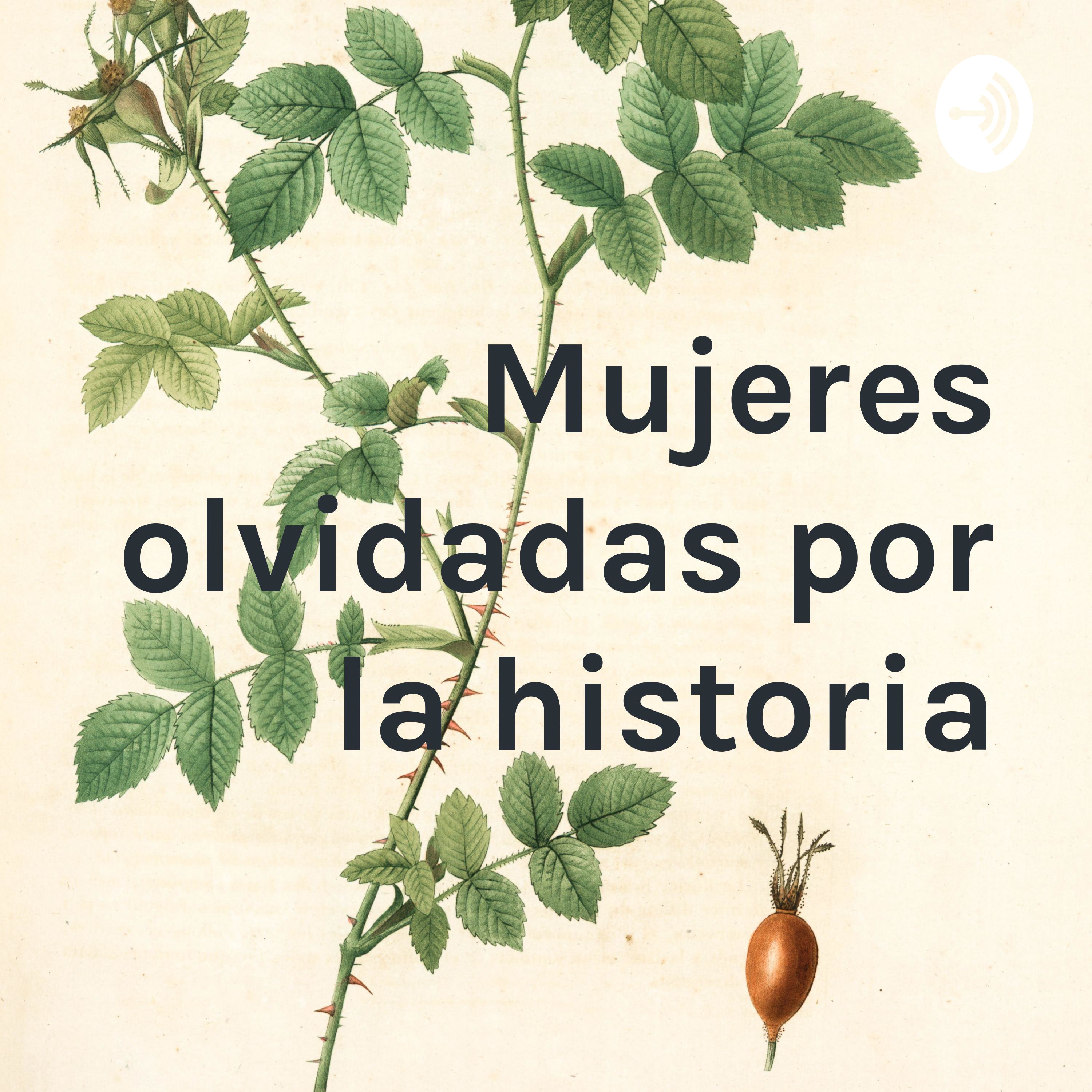 Mujeres olvidadas por la historia