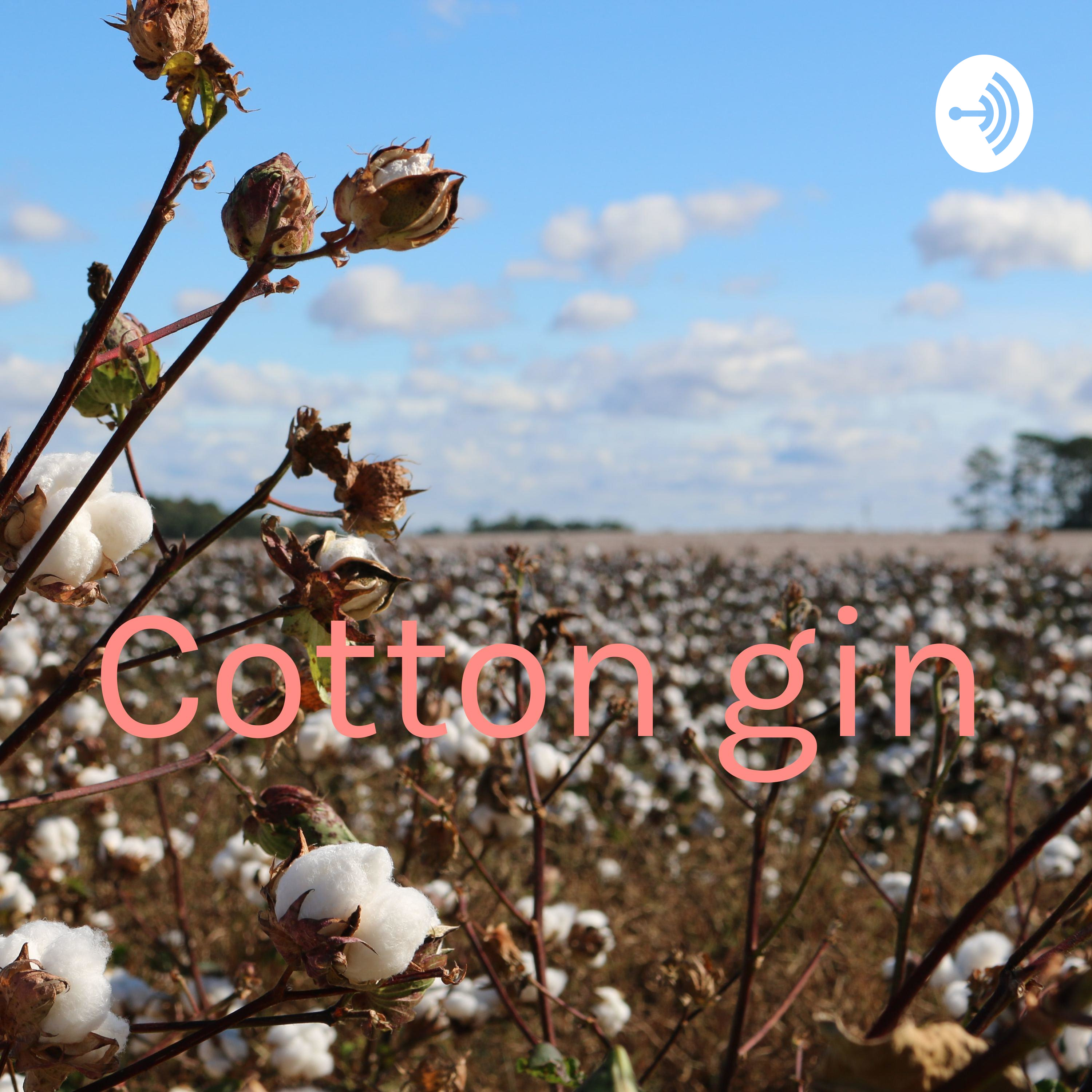 Cotton gin 