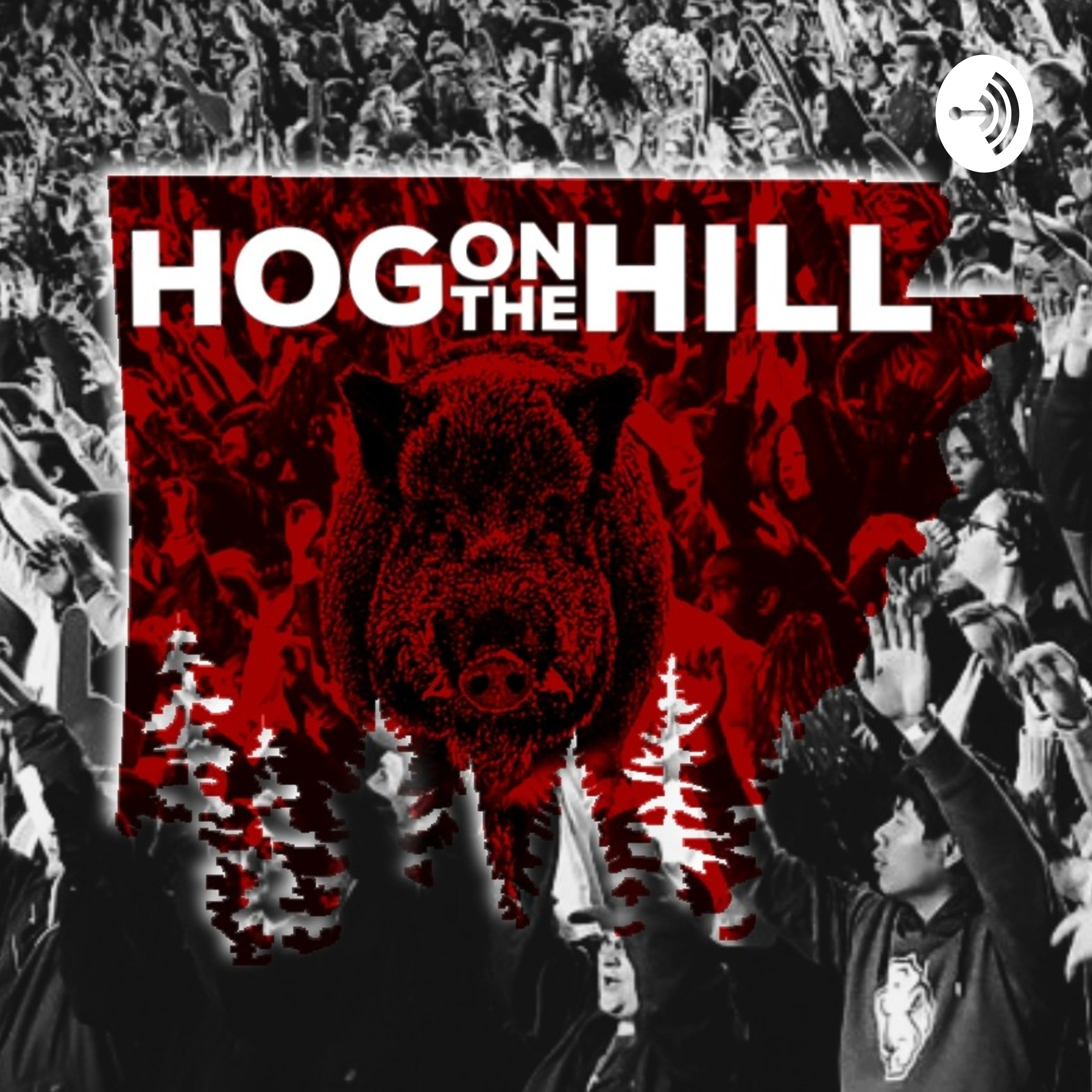 Hog On The Hill 