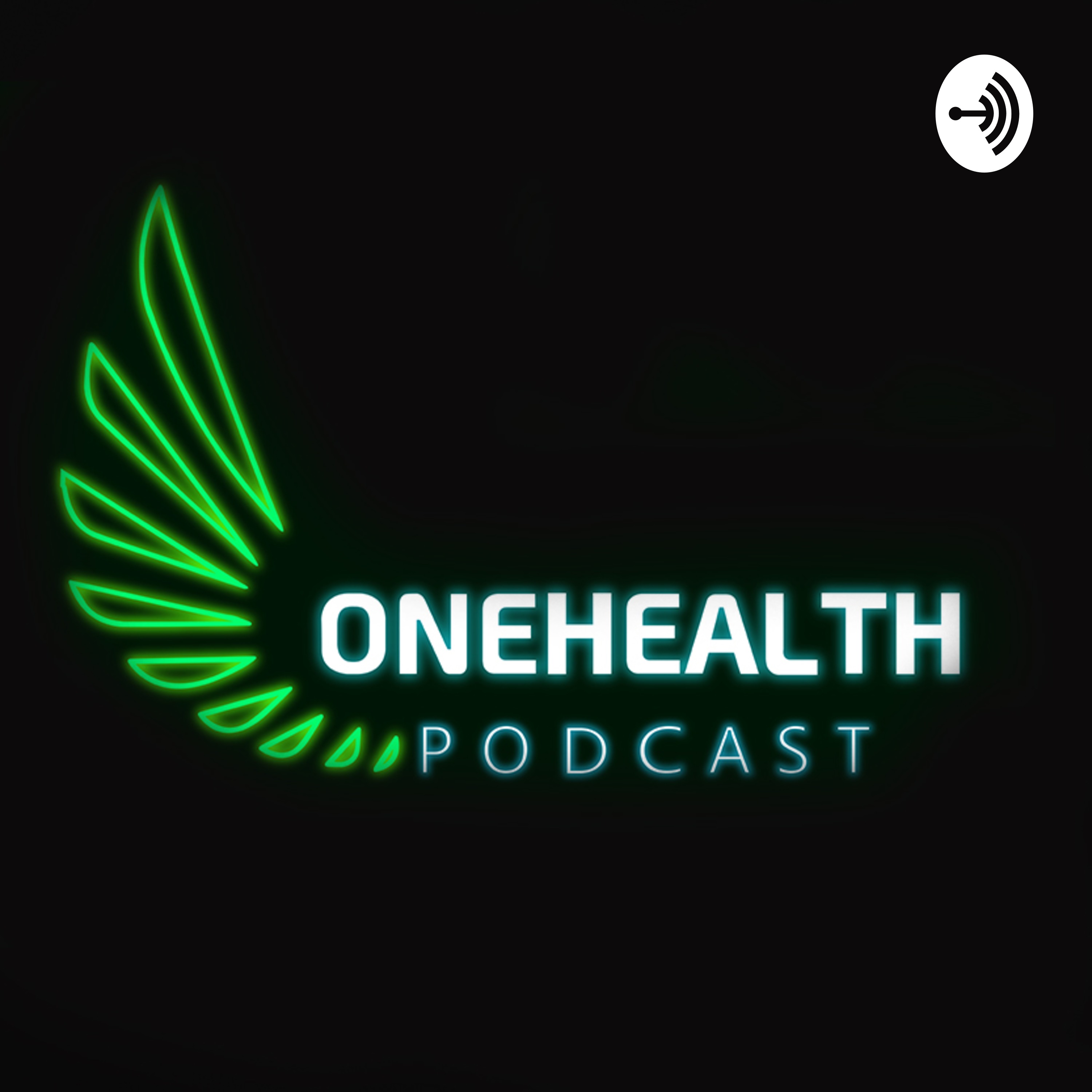 EP #27 NUCCA Spine Treatment