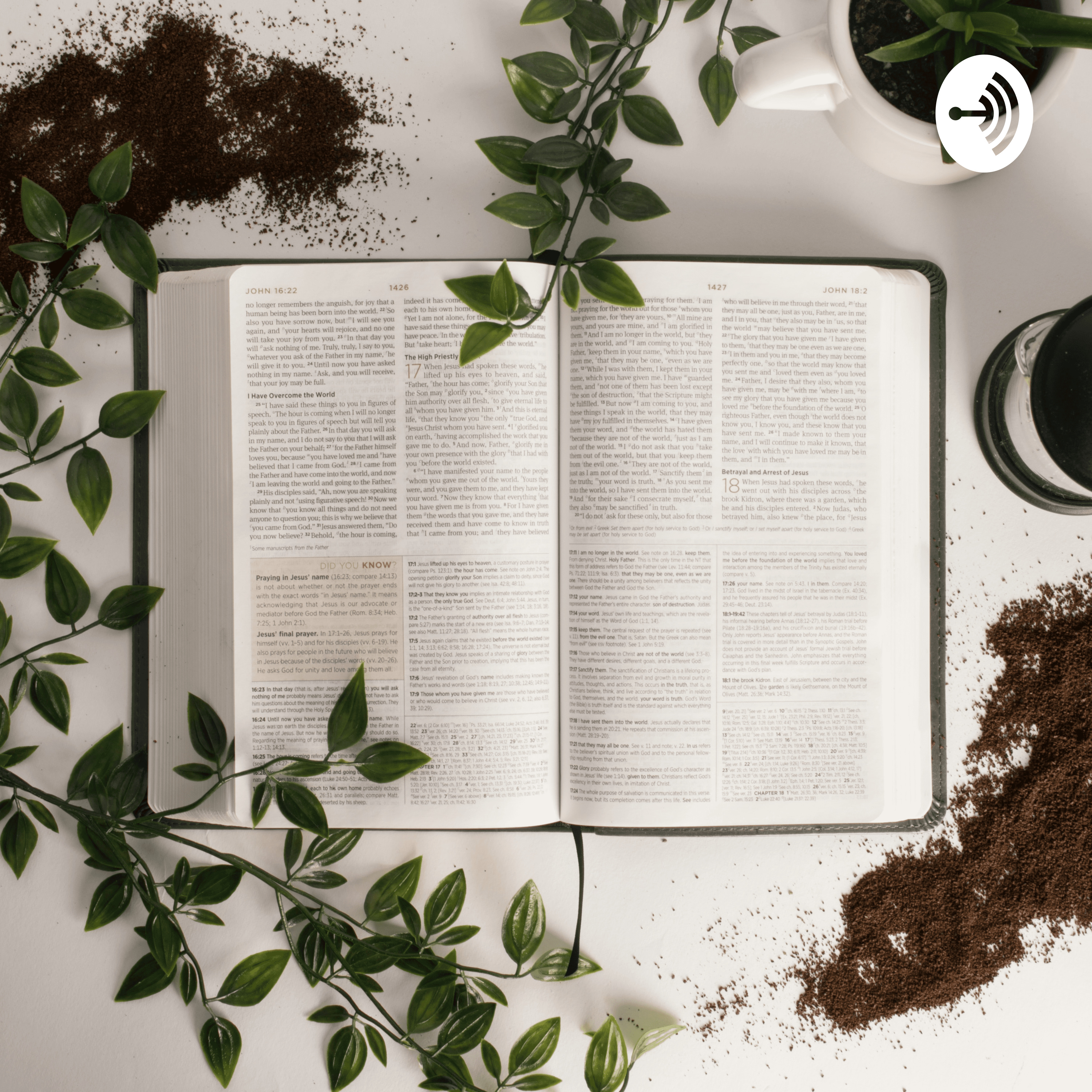 Abiding In Joy