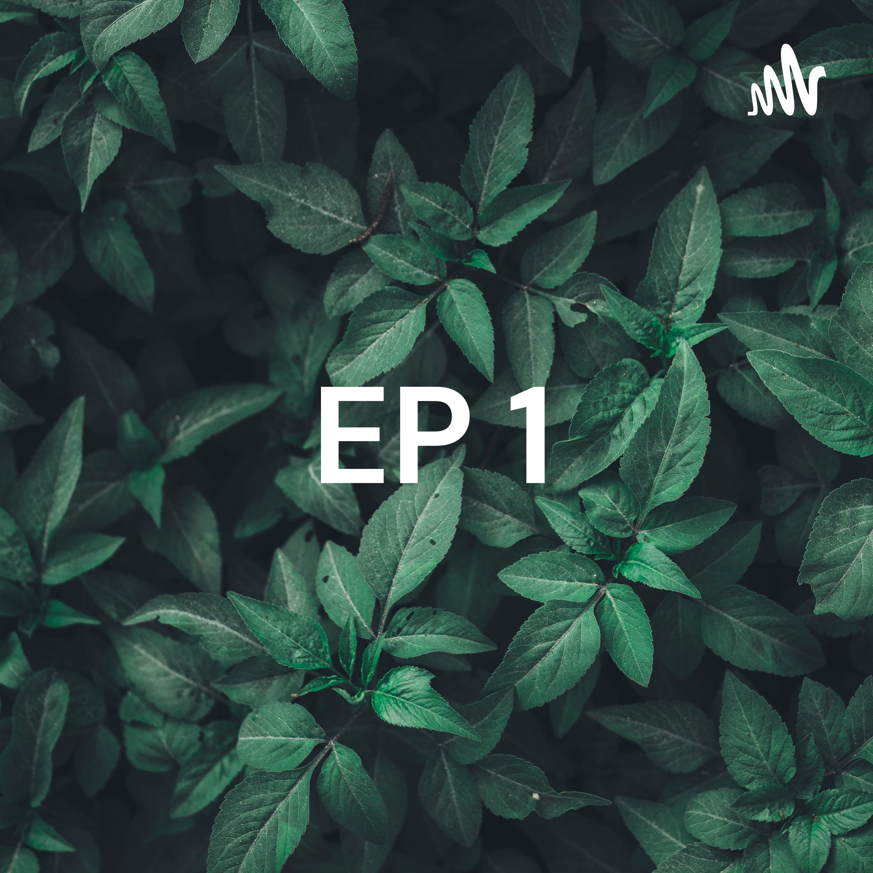 EP 1 - PODCAST