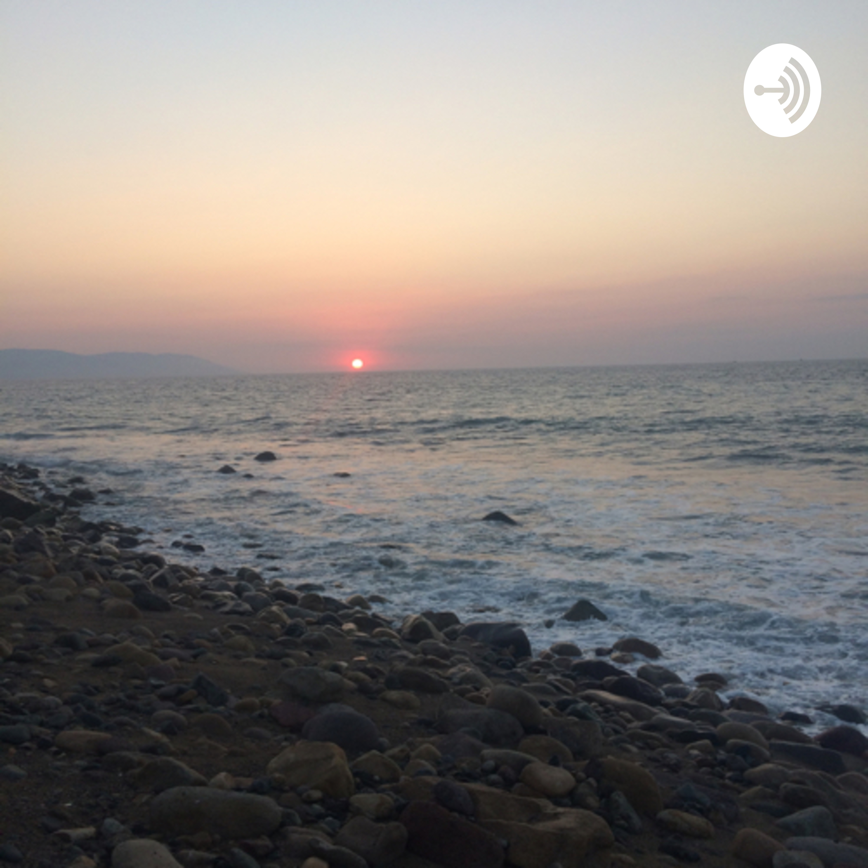 Diente de león y nuestras similitudes