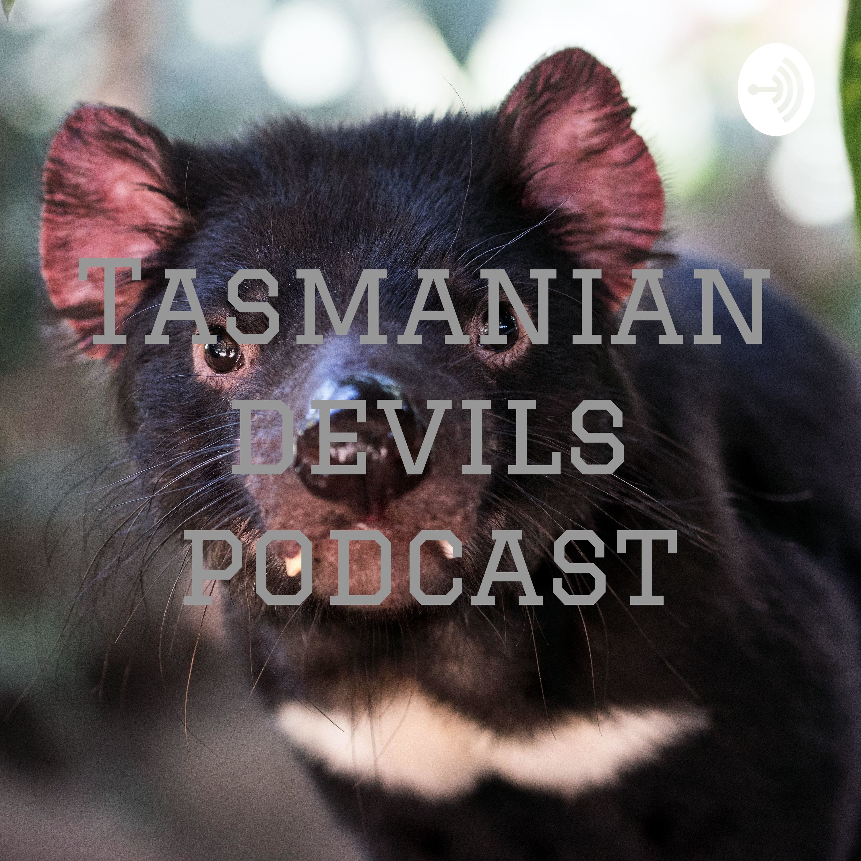 Tasmanian devils podcast podcast artwork
