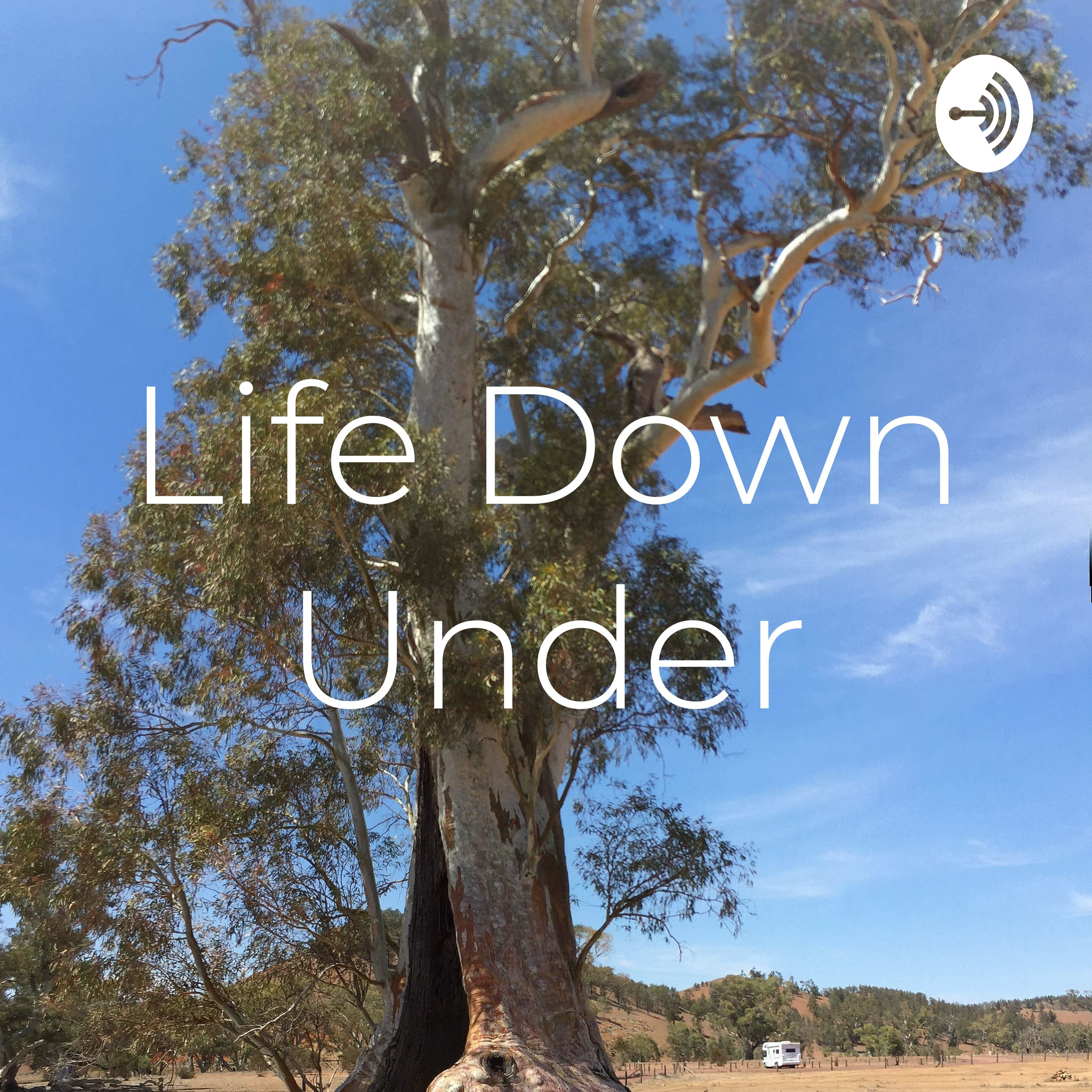 Life Down Under