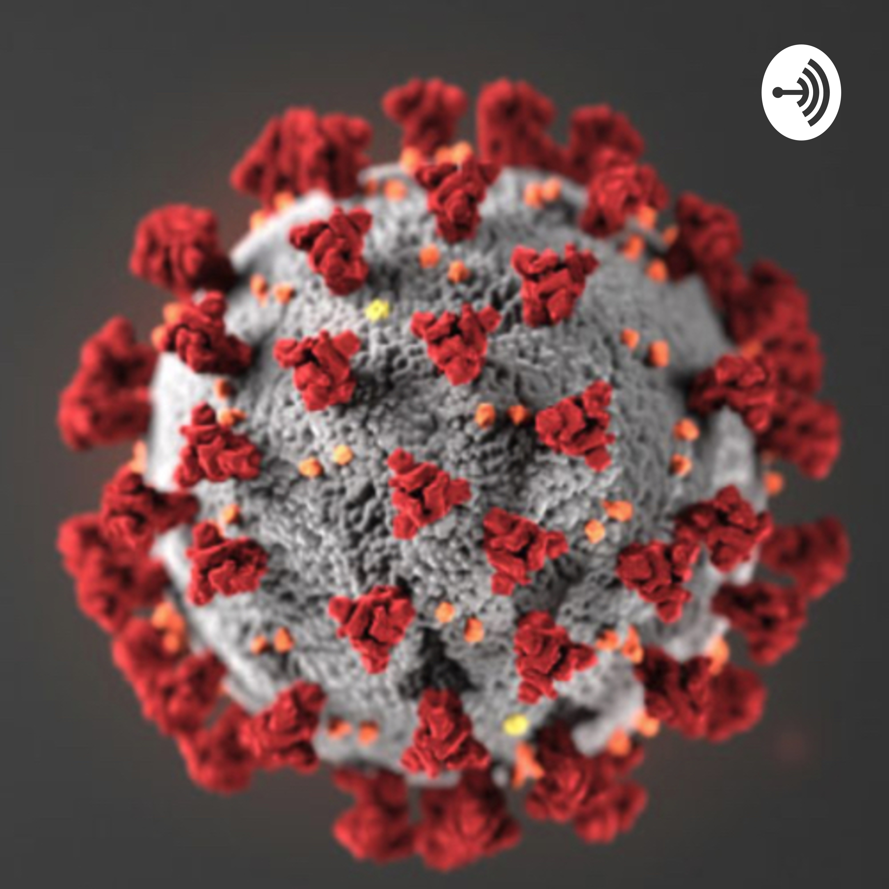 Ask me a Question: Kids questions on Coronavirus