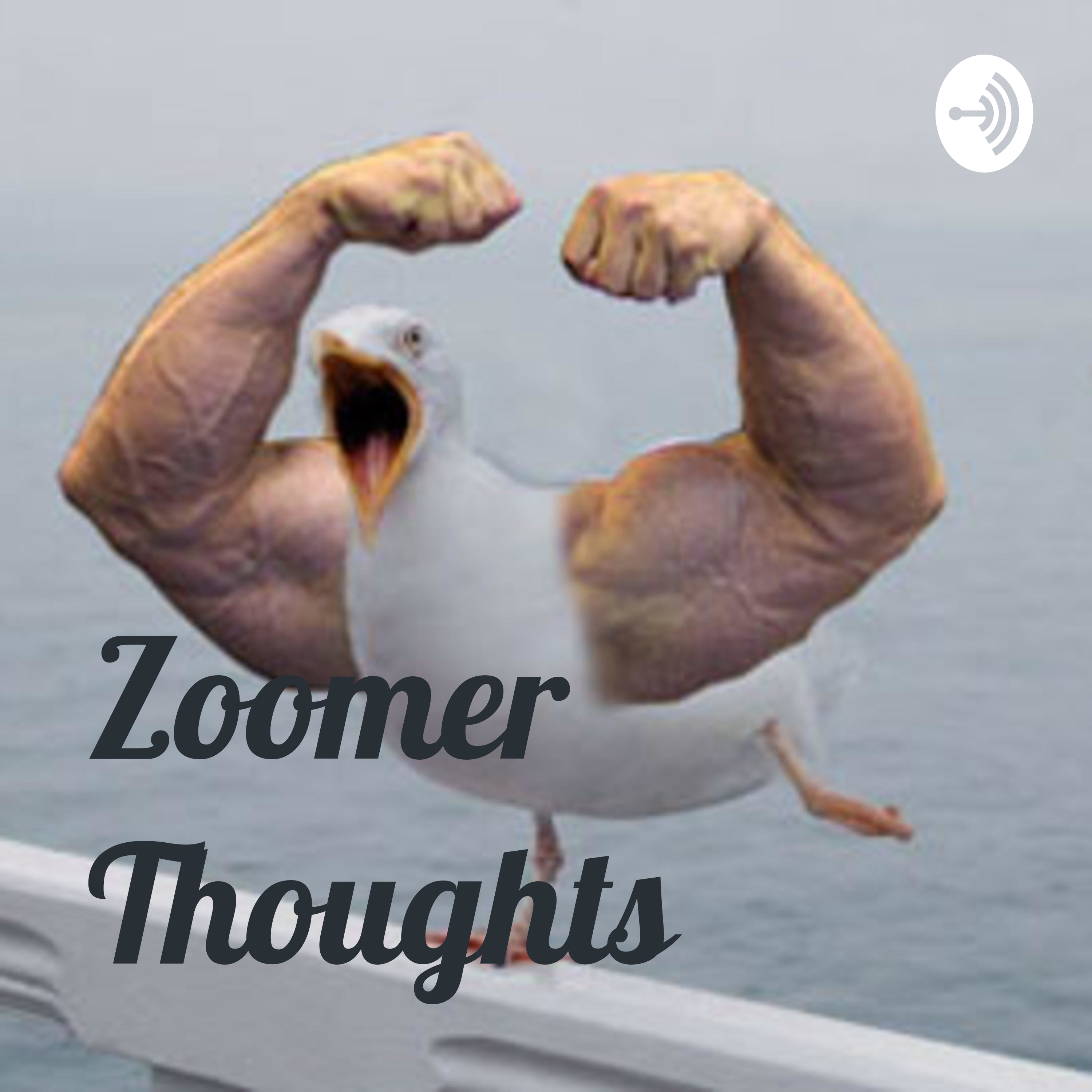 Zoomer Thoughts 