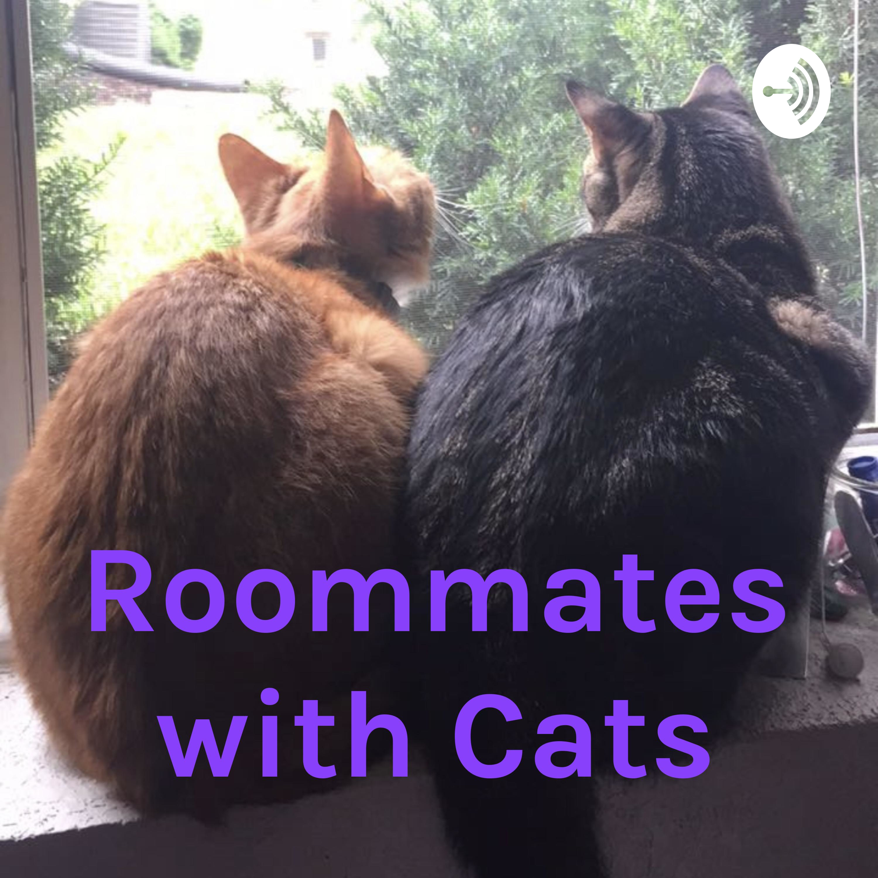 Roommates with Cats