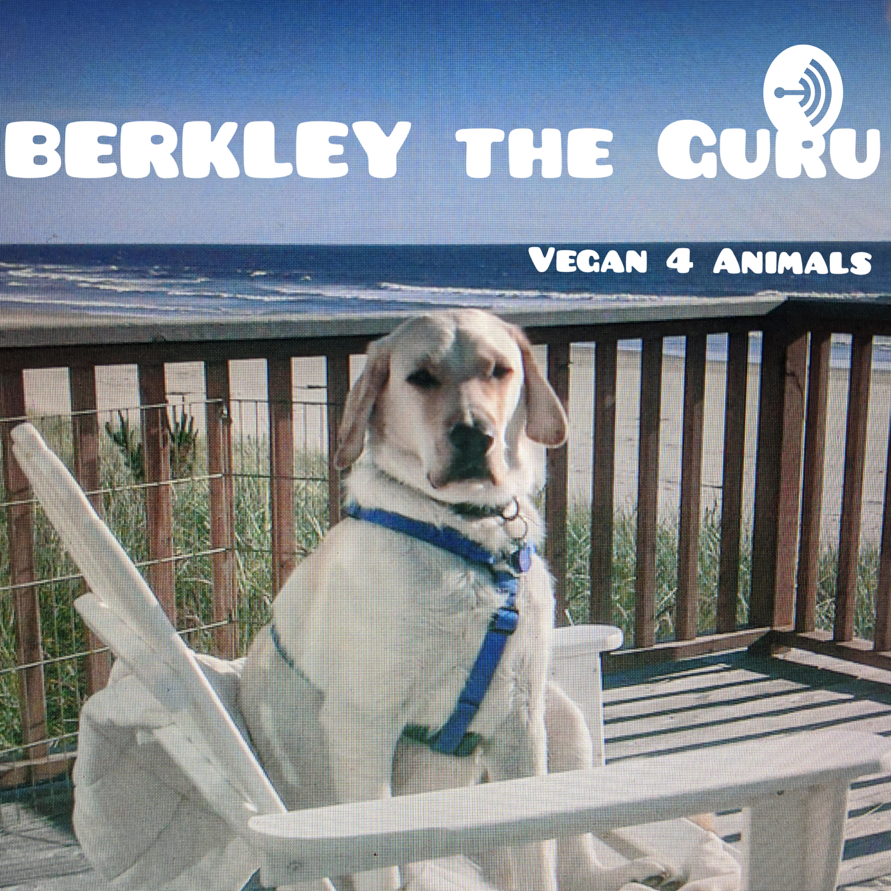 Berkley The Guru 