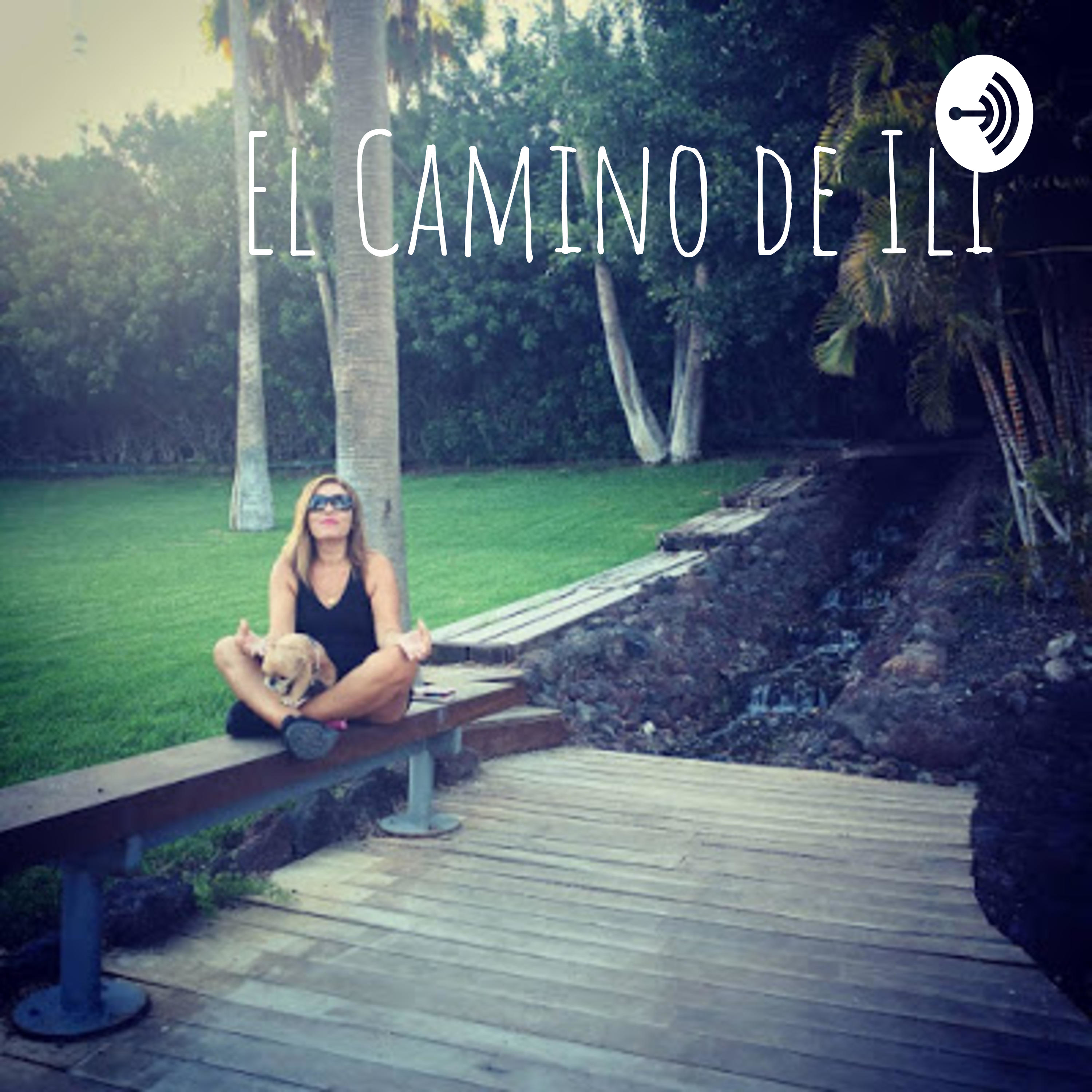 El Camino de Ili podcast artwork